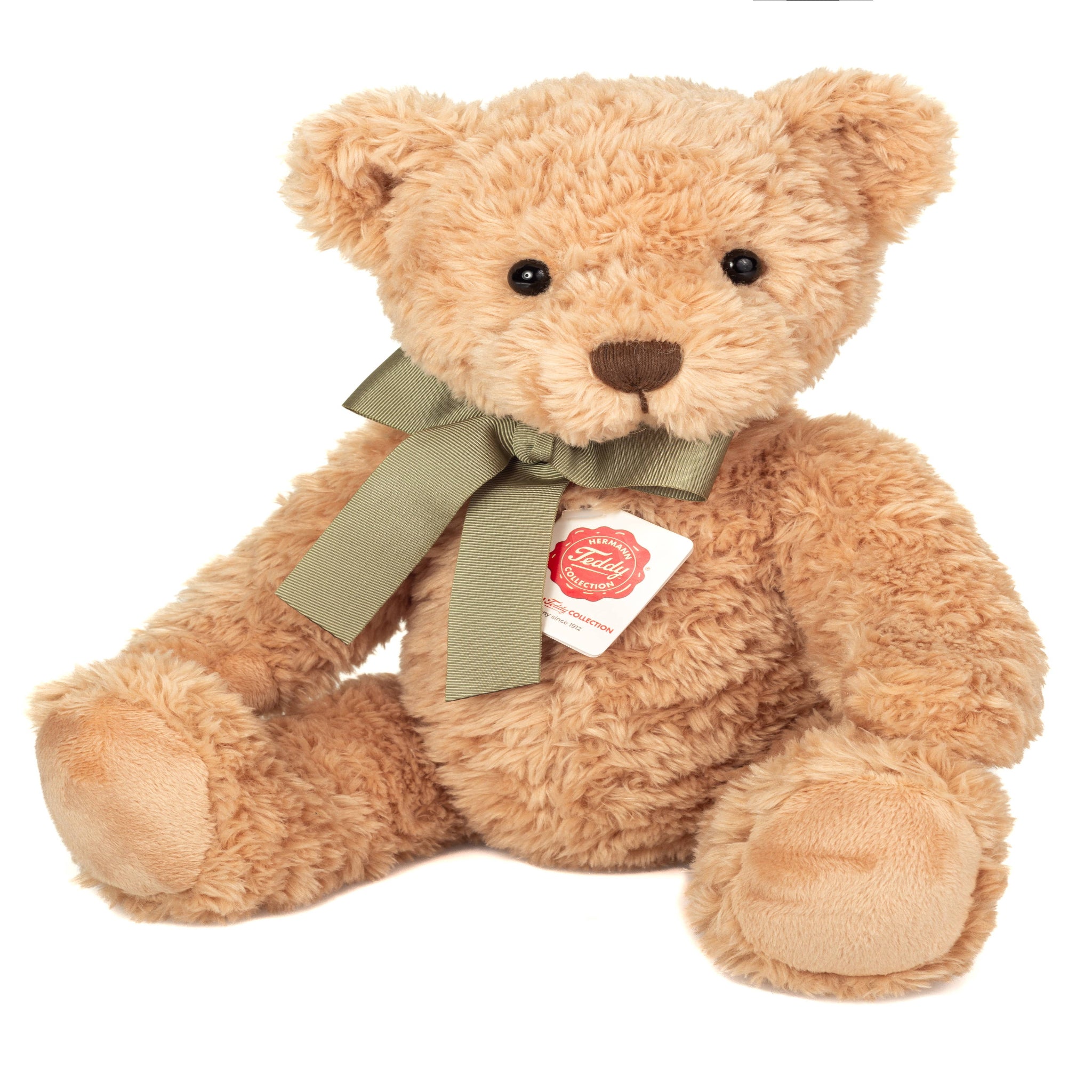 Brown teddy bear with a green bow and tag on a white background