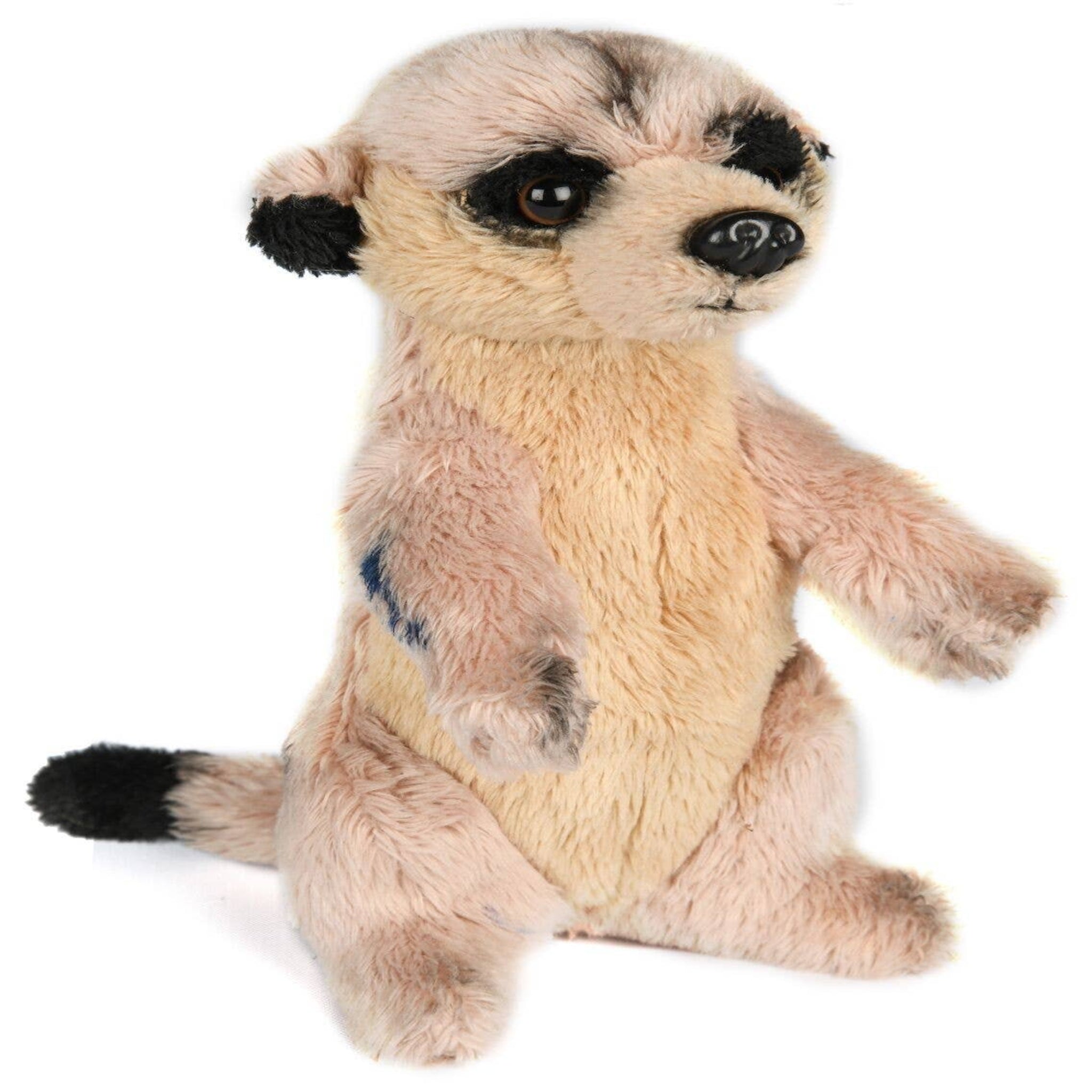 Plush meerkat toy on a white background