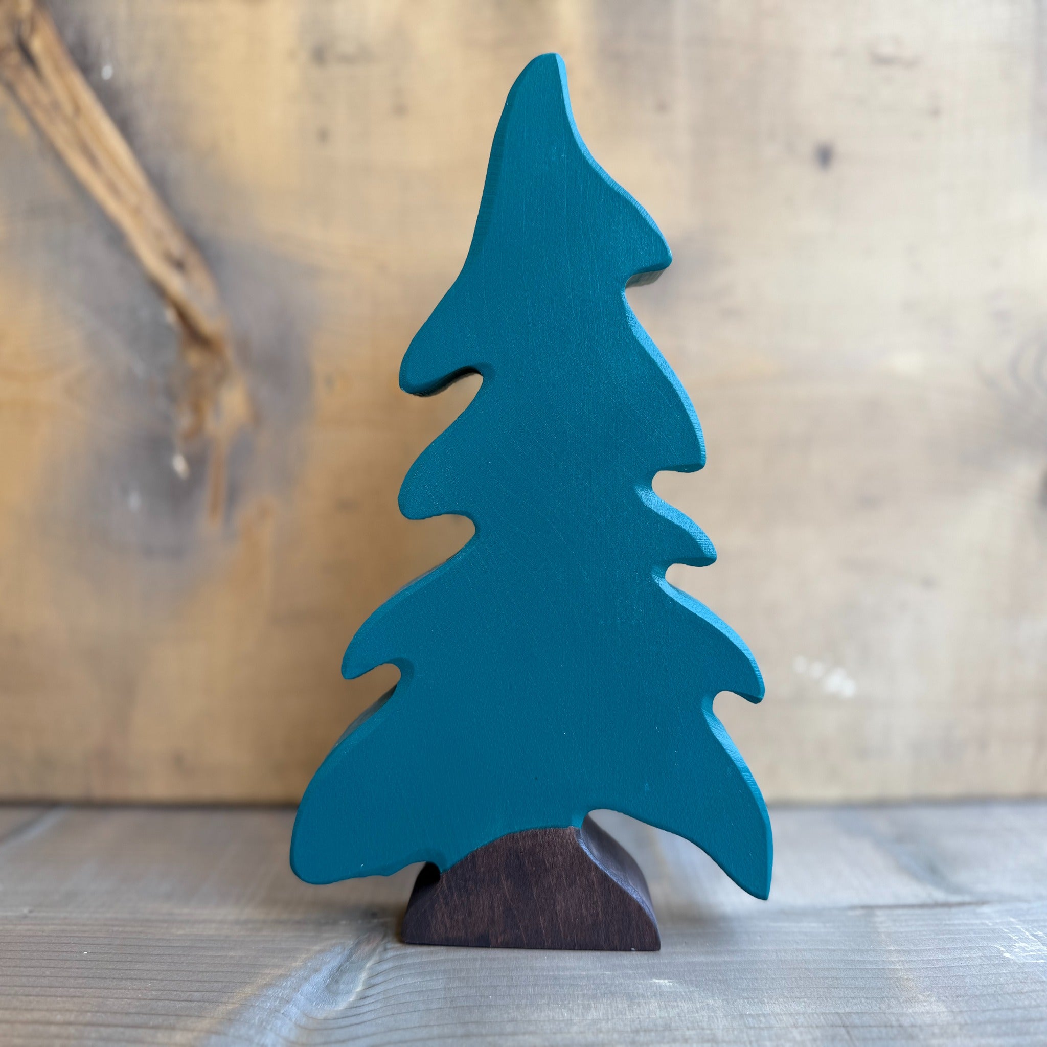 Conifer