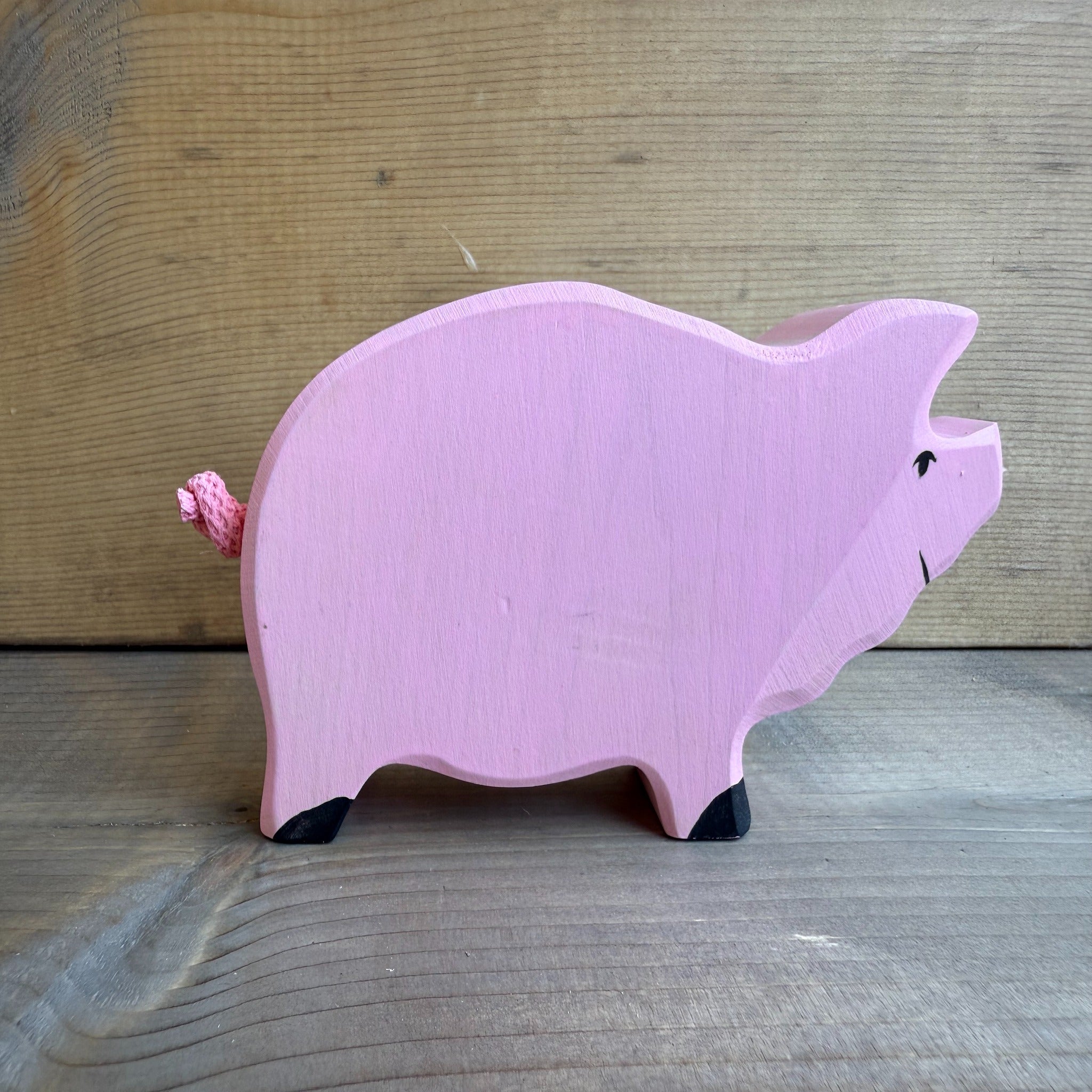Boar