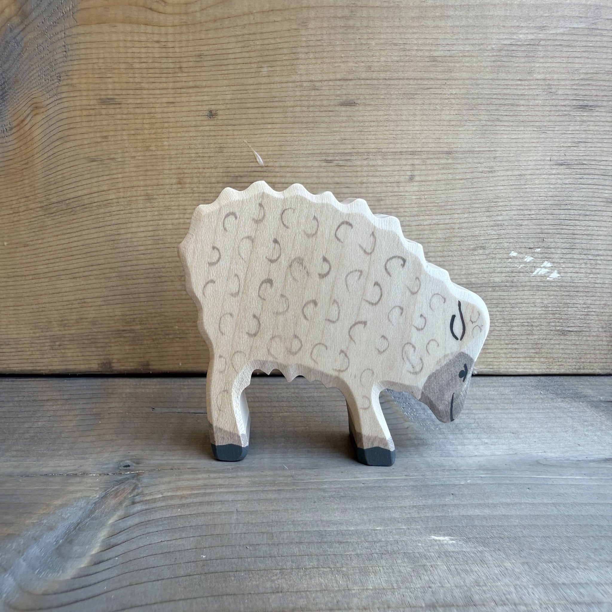 Sheep Feeding