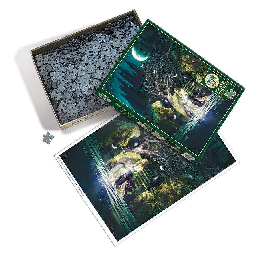 Ten Wishes box opened, showing the pieces