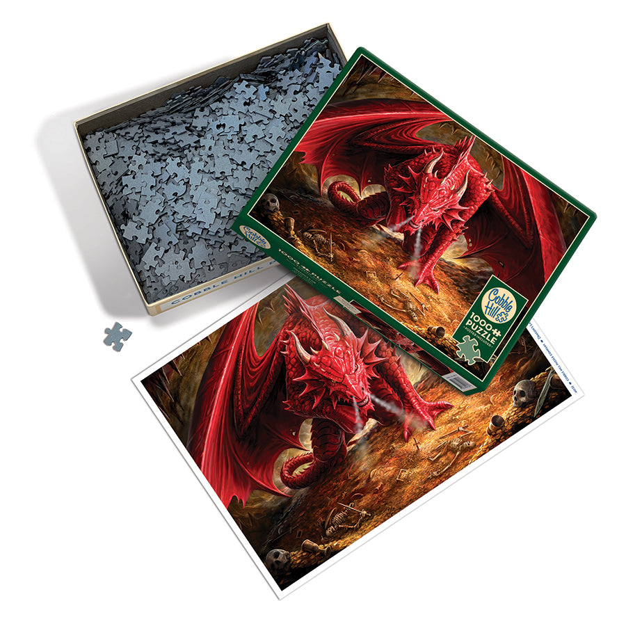 Dragon's Lair box opened, showing the pieces