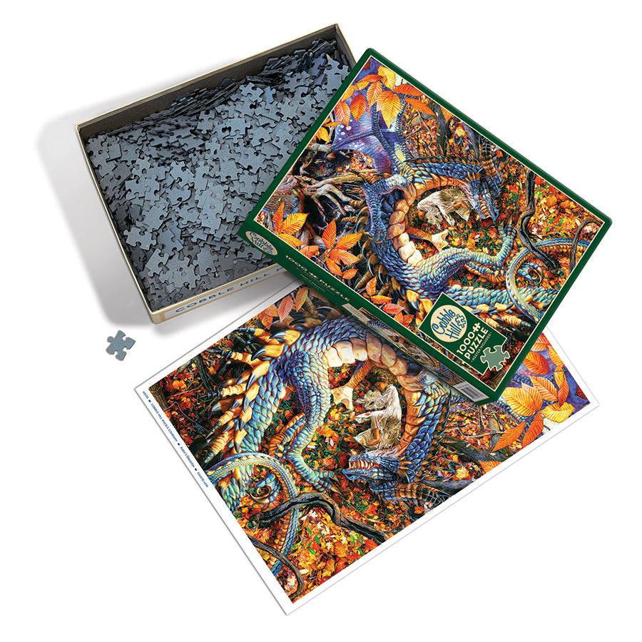 Abby's Dragon box opened, showing the pieces