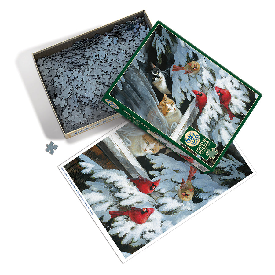 Bird Watchers box opened, showing the pieces