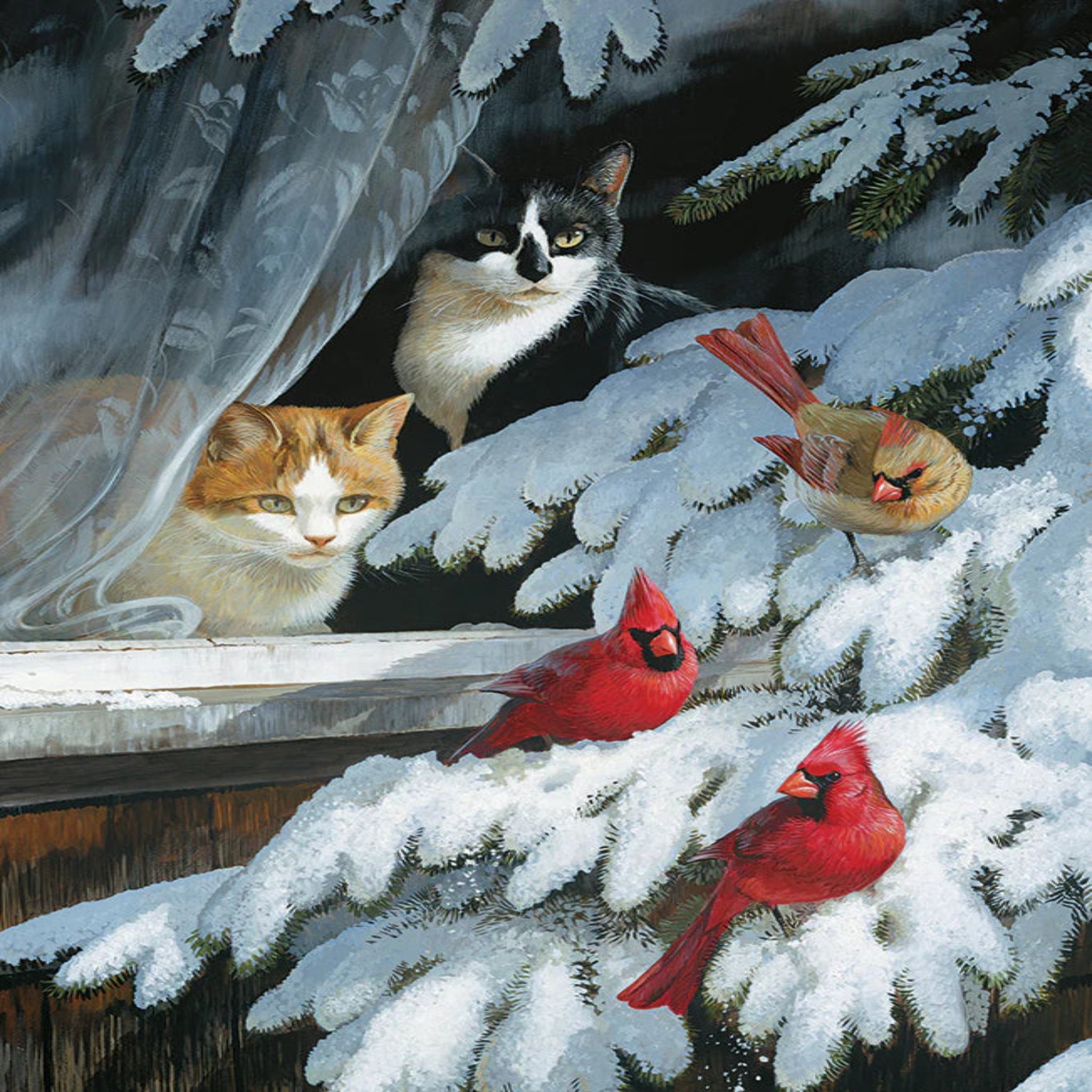 Two cats and three red cardinals on a snowy branch