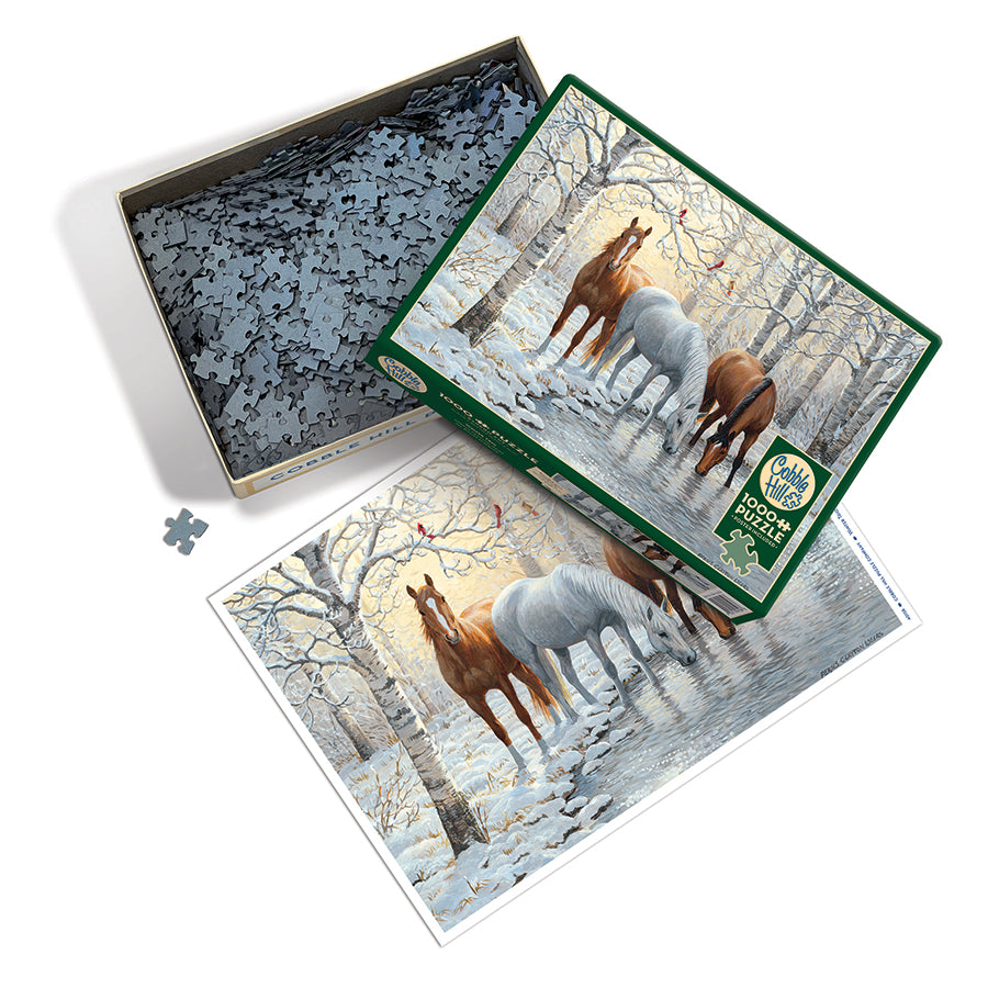 Winter Trio box opened, showing the pieces