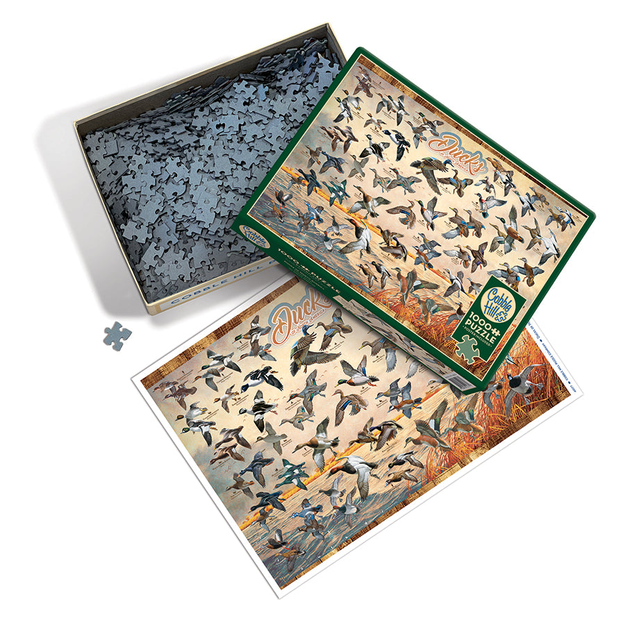 Ducks of North America box opened, showing the pieces