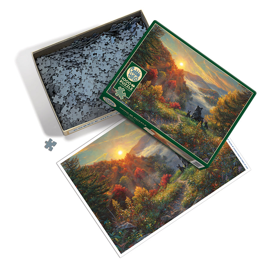 New Day box opened, showing the pieces