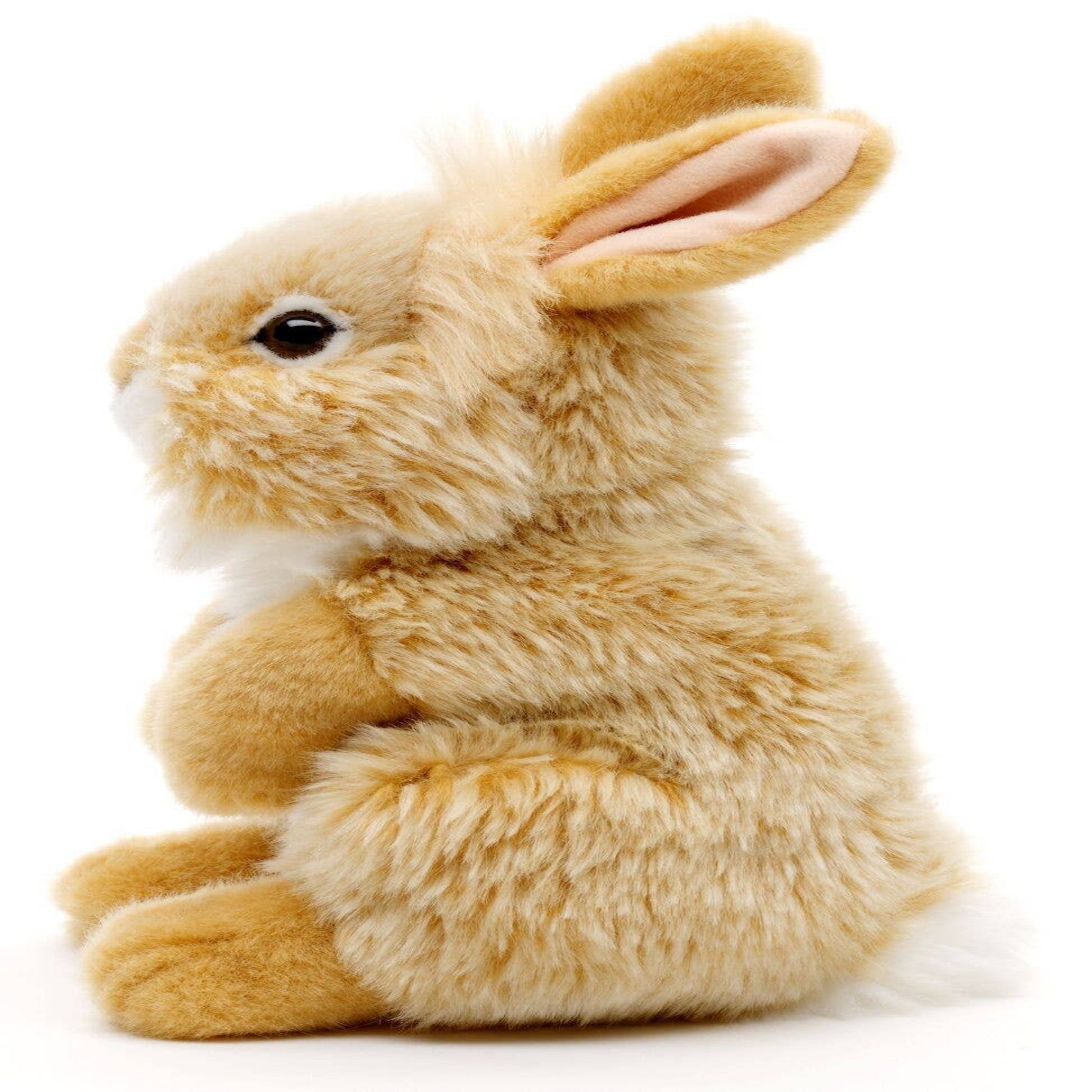 Plush rabbit toy on a white background