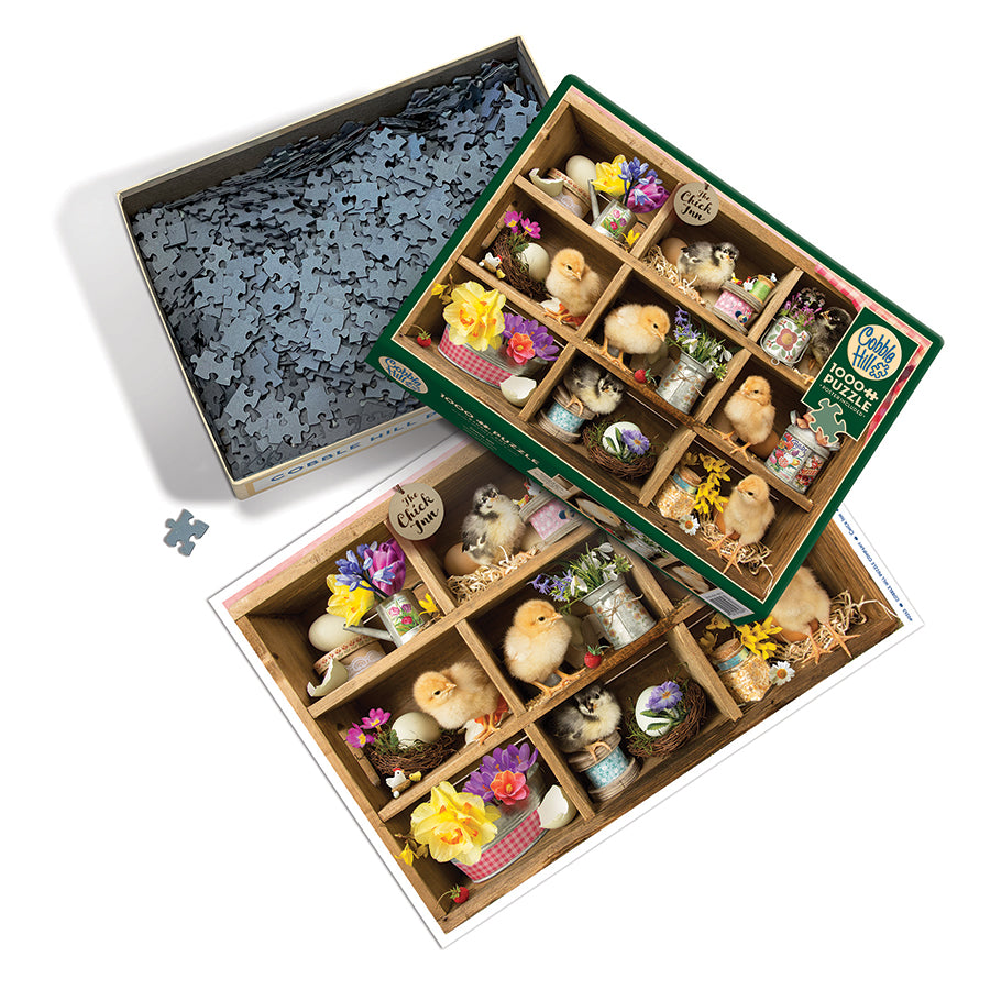 Chick Inn box opened, showing the pieces