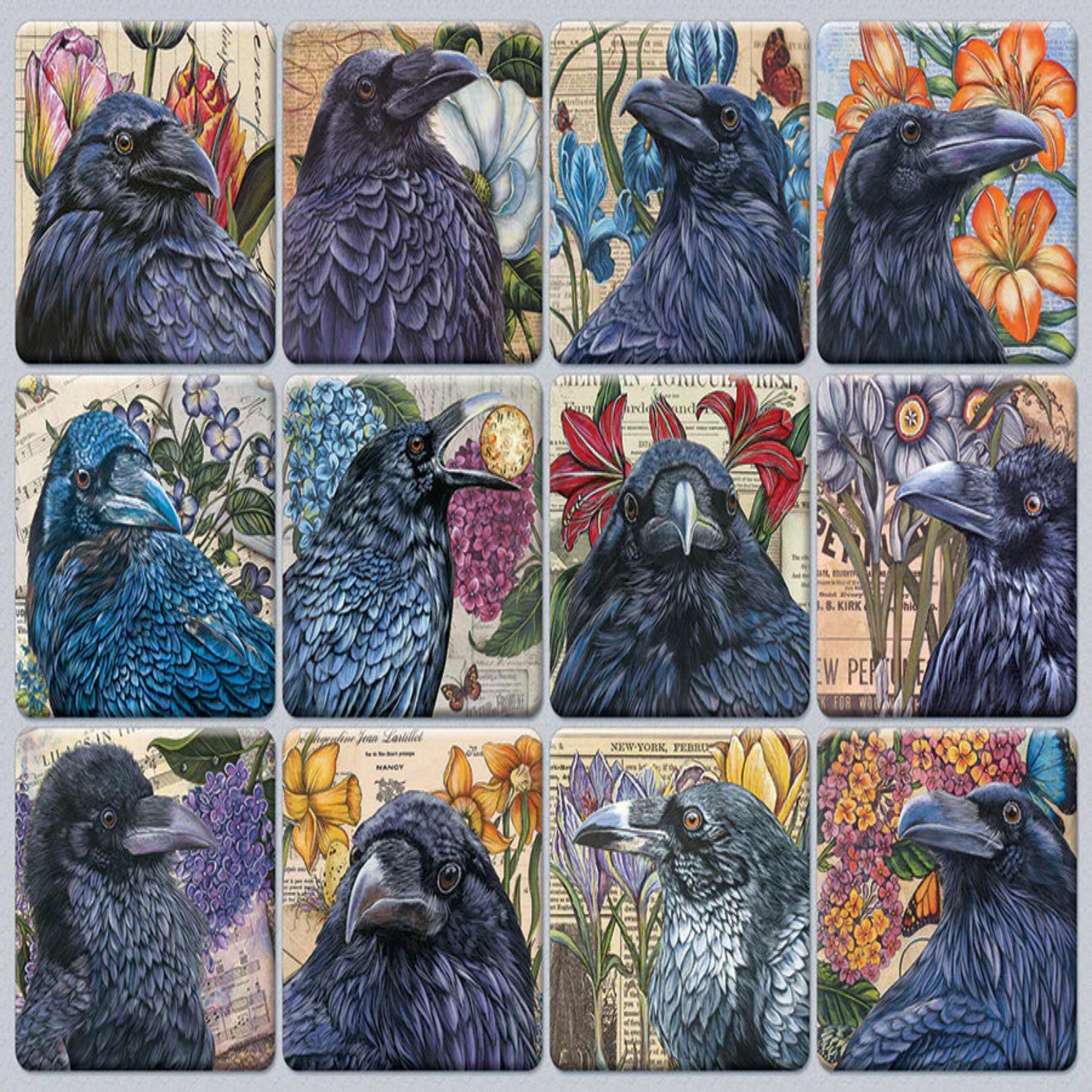 Grid of cards featuring illustrations of ravens with floral and vintage-style backgrounds