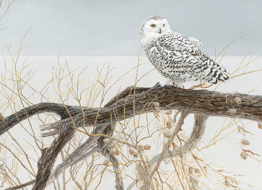Fallen Willow - Snowy Owl, the finished puzzle image