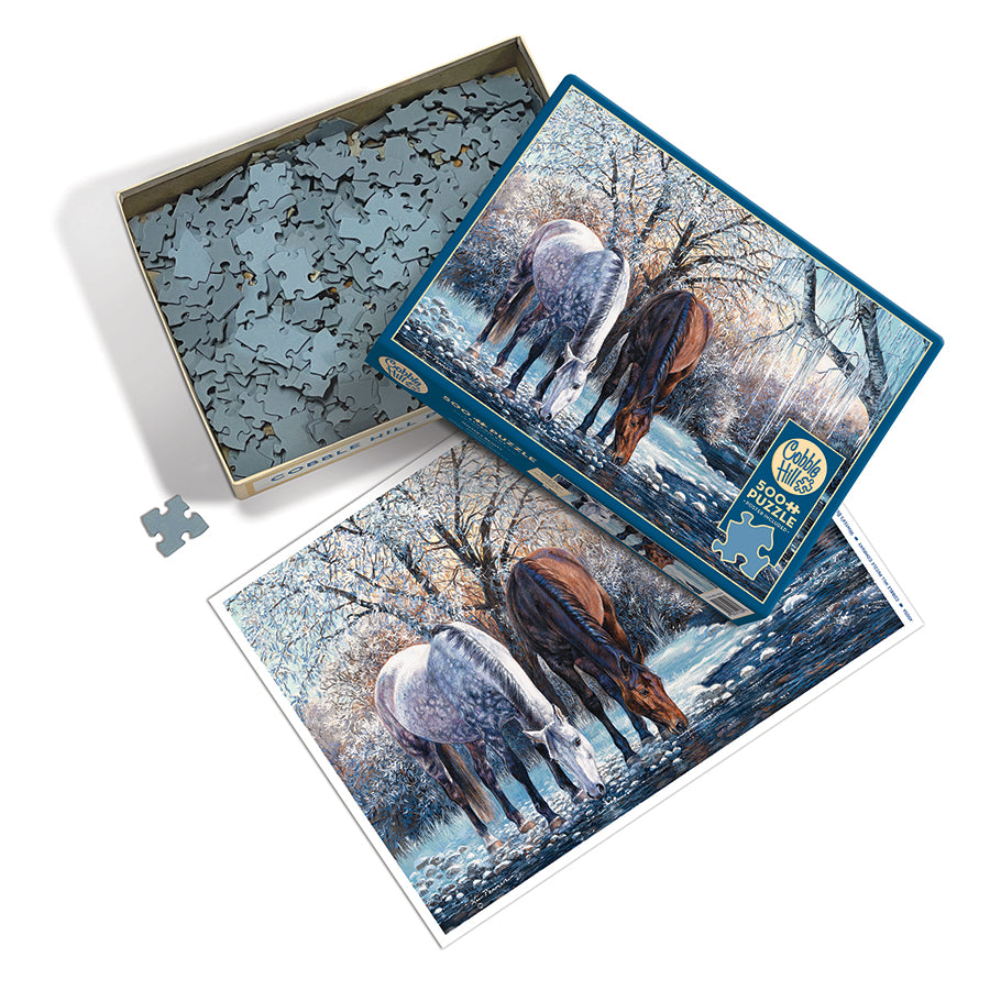 Winter's Beauty box opened, showing the pieces