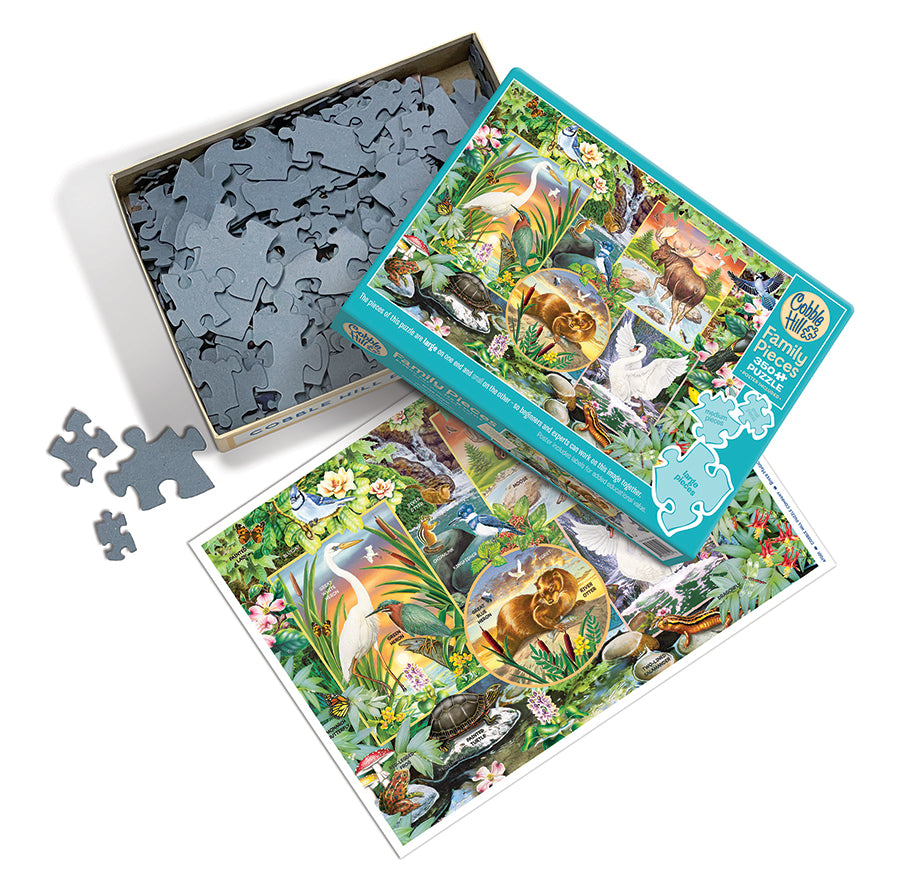 River Magic box opened, showing the pieces