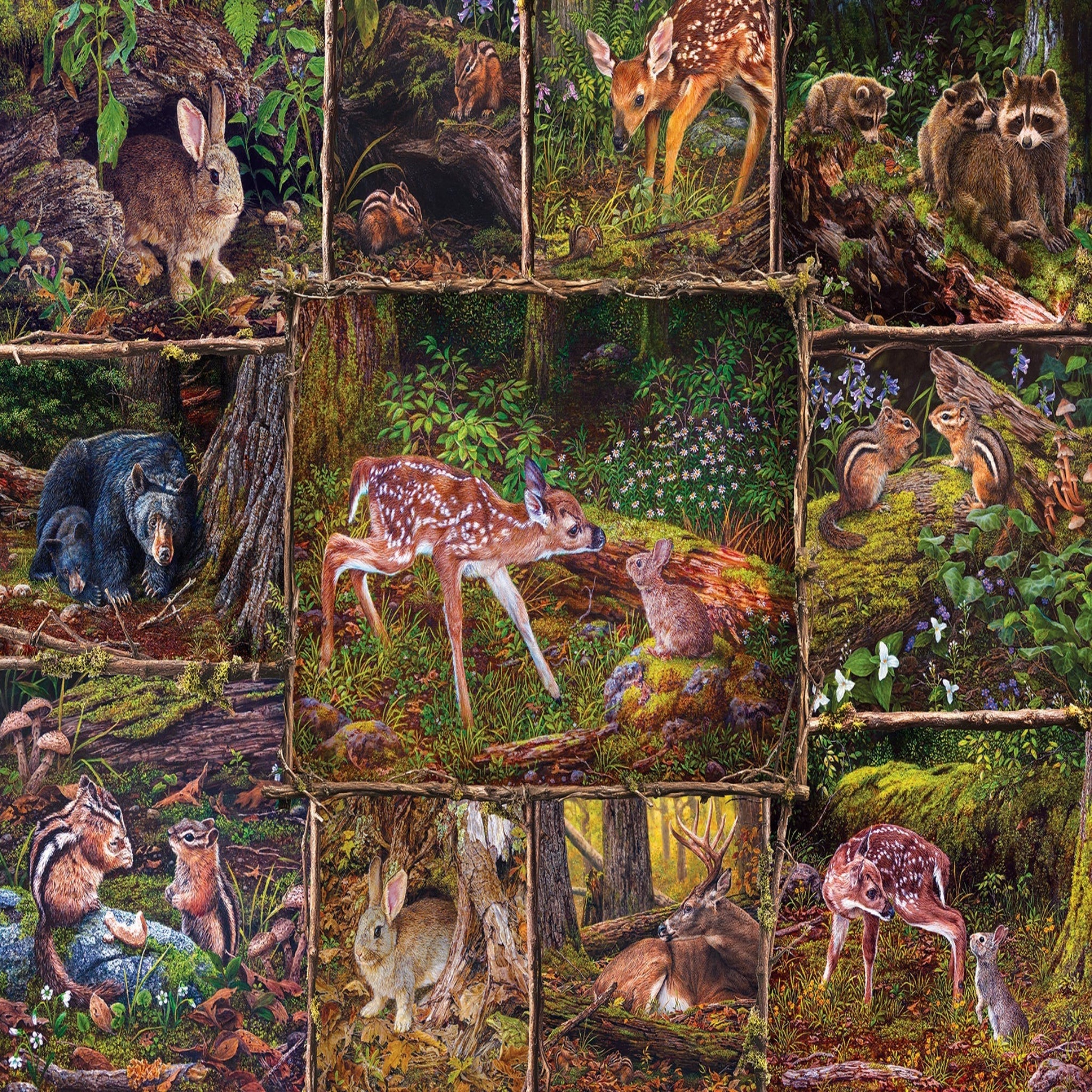 Collage of various forest animals in a natural setting