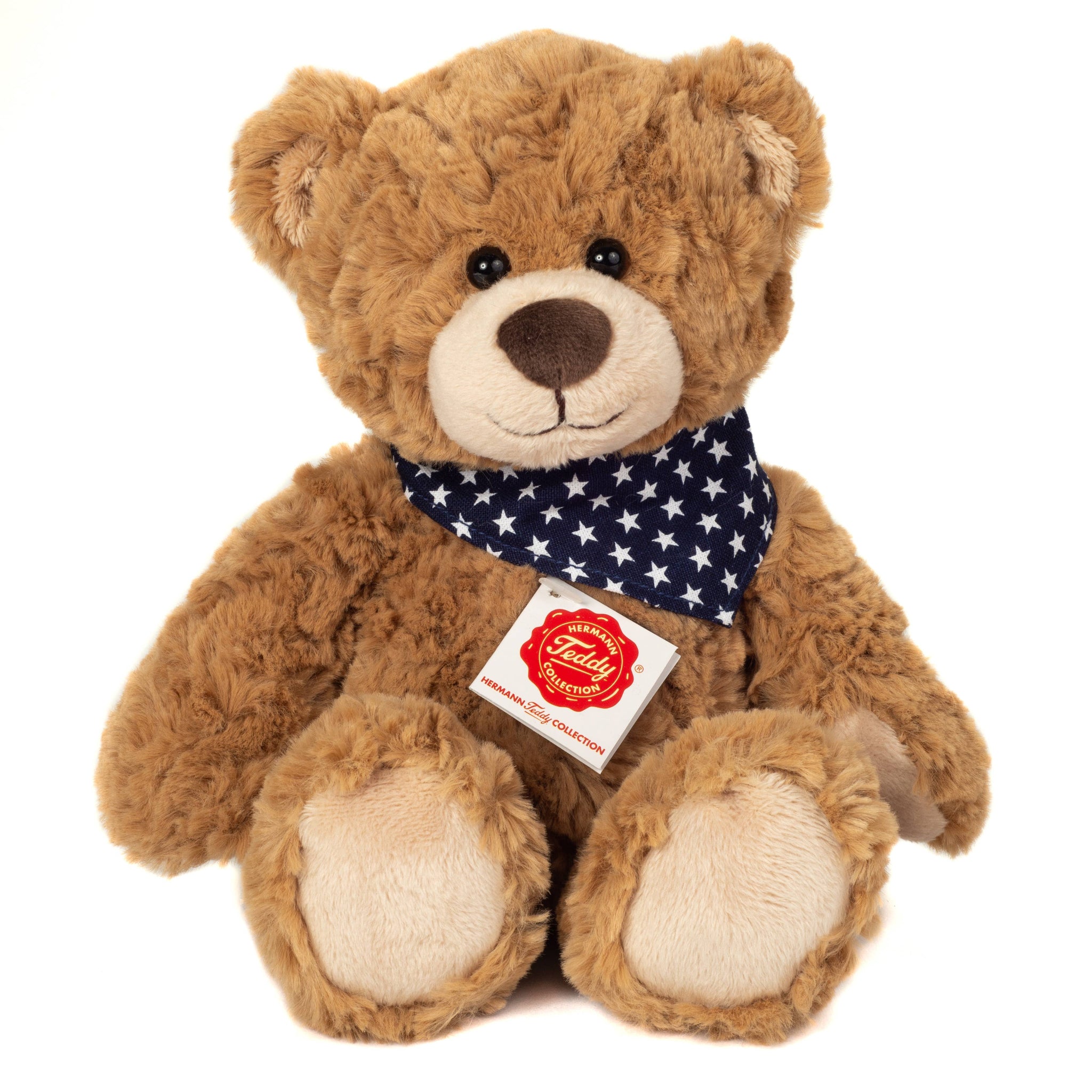 Brown teddy bear with a star-patterned scarf on a white background
