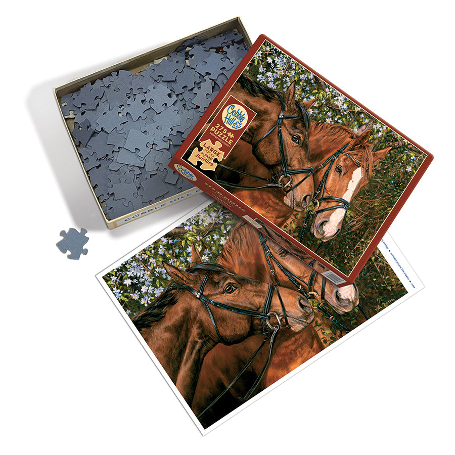 Friends Forever box opened, showing the pieces
