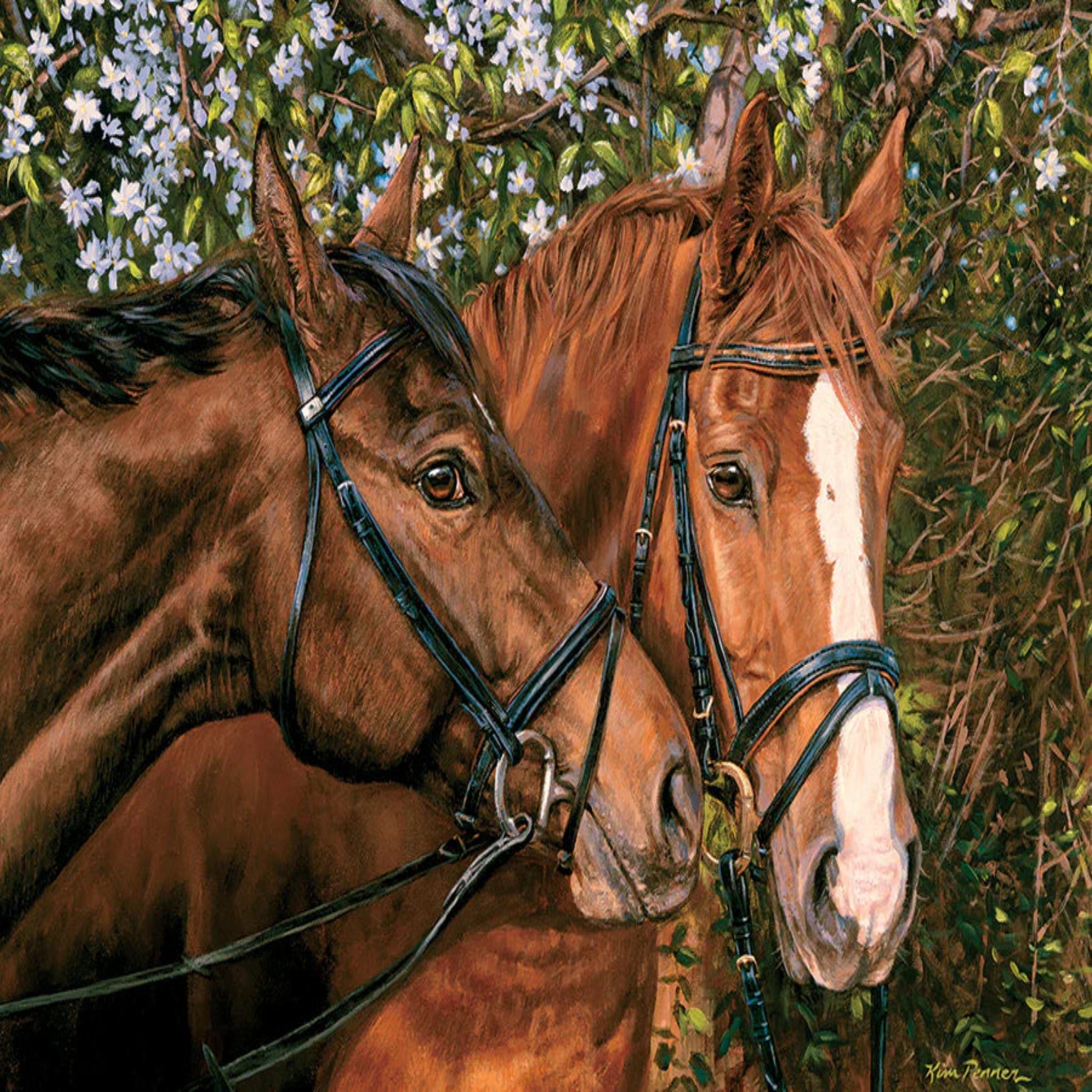 Two brown horses with a white stripe on their faces standing close together in a natural setting.