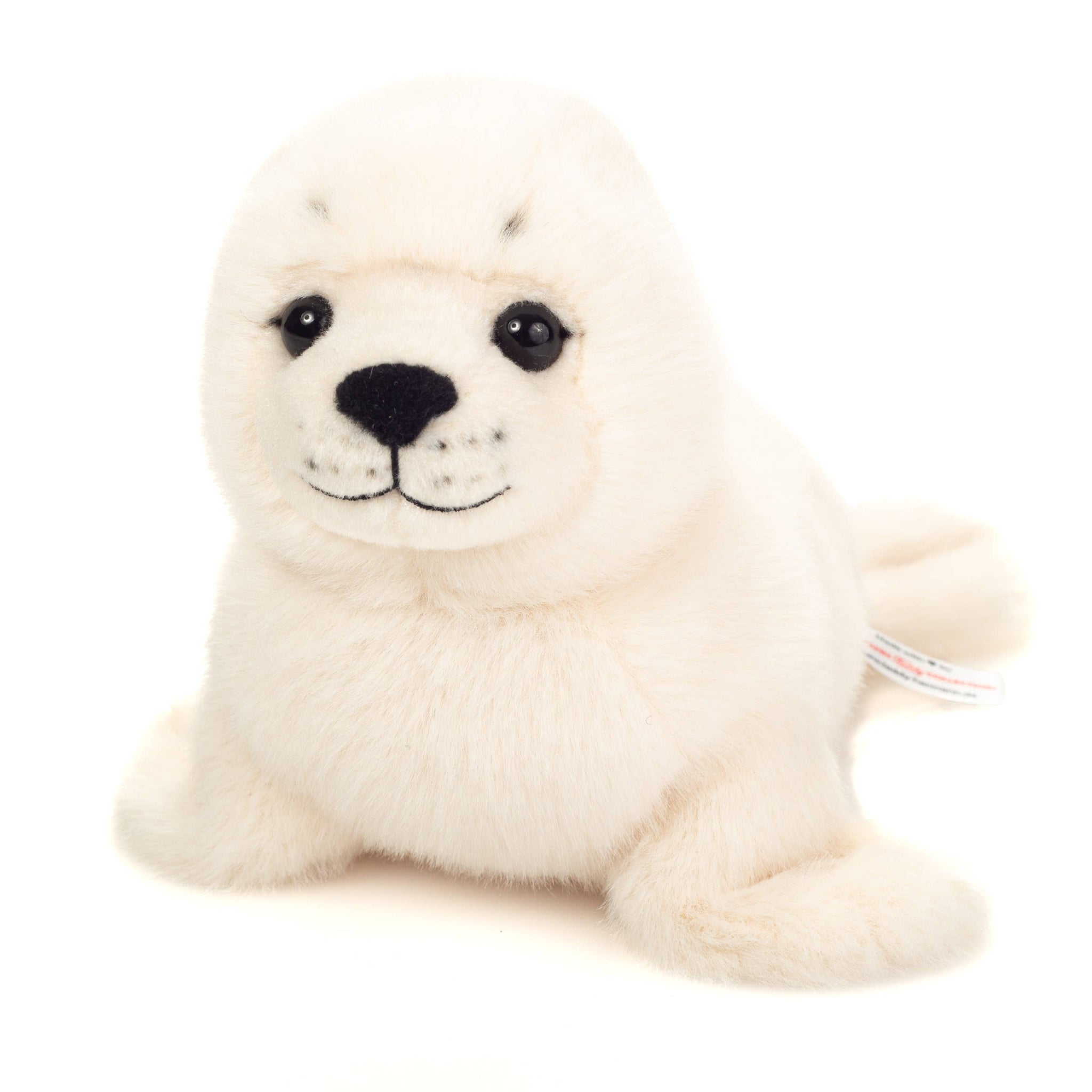 Plush toy seal on a white background