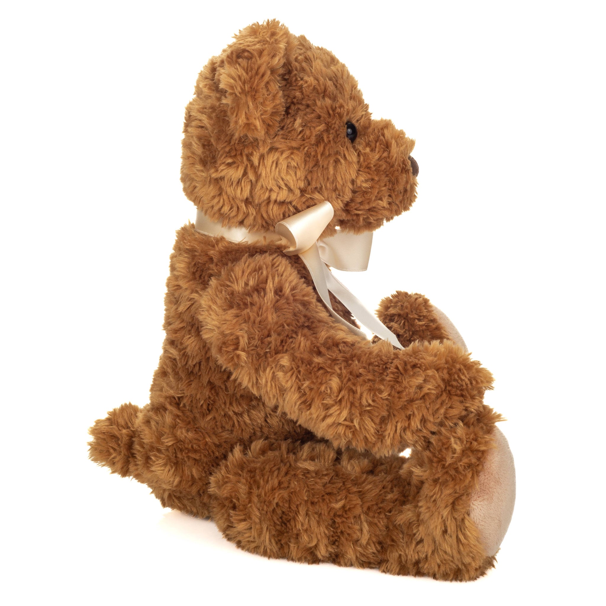 Brown teddy bear with a white ribbon on a white background