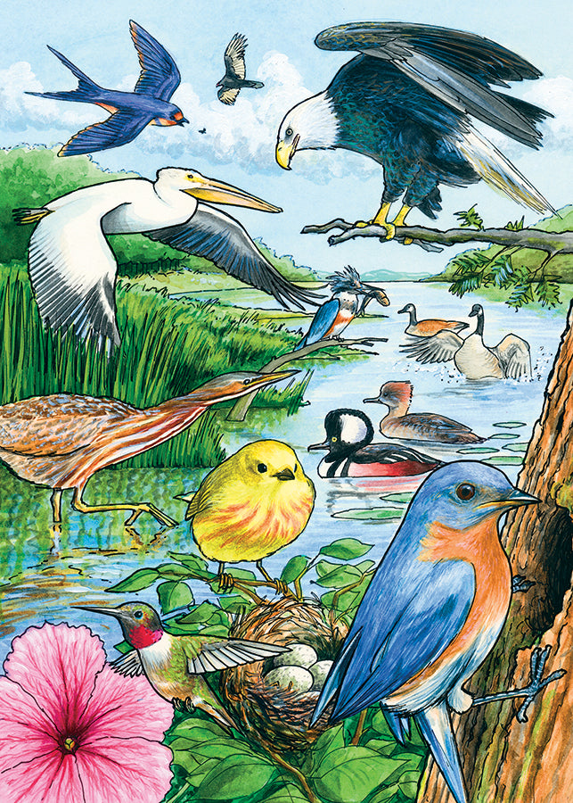North American Birds, the finished puzzle image
