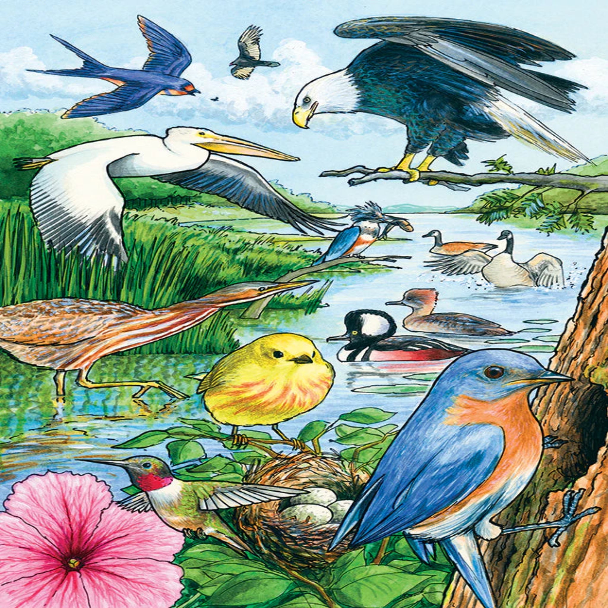 Illustration of various birds in a natural setting with water, plants, and flowers.