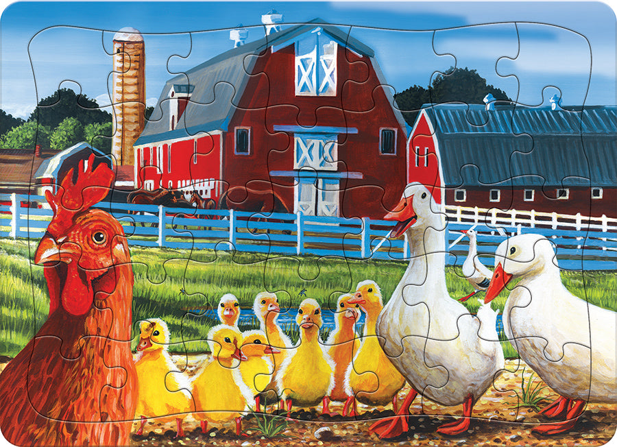 Dwight's Ducks tray front