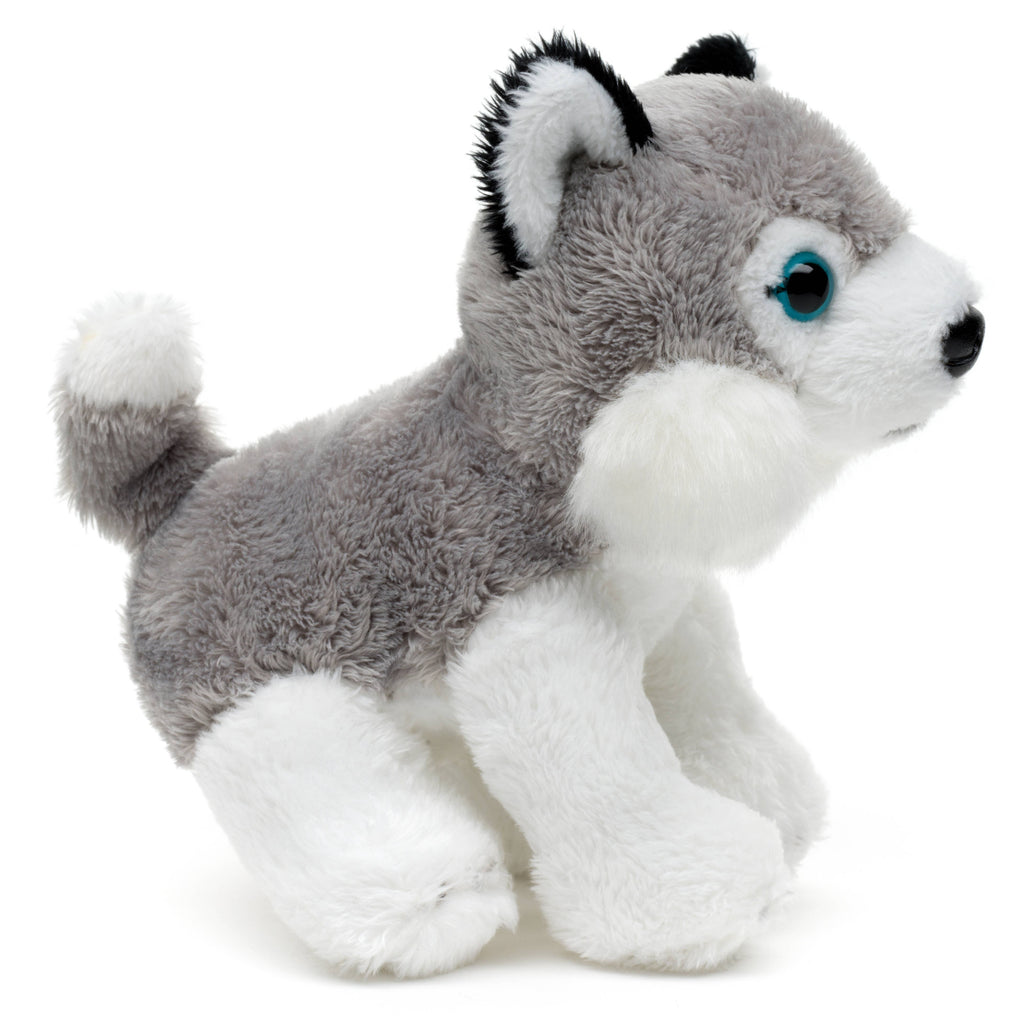 Plush toy husky on a white background
