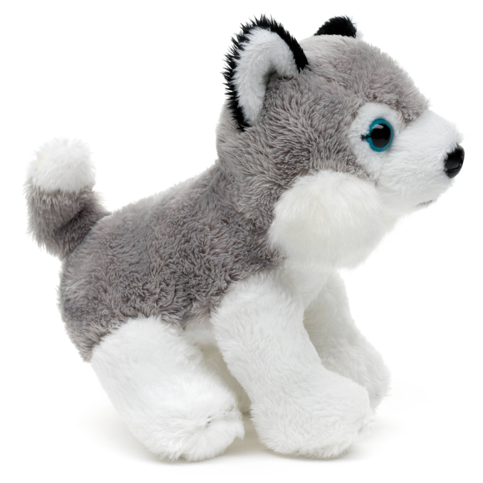 Plush toy husky on a white background