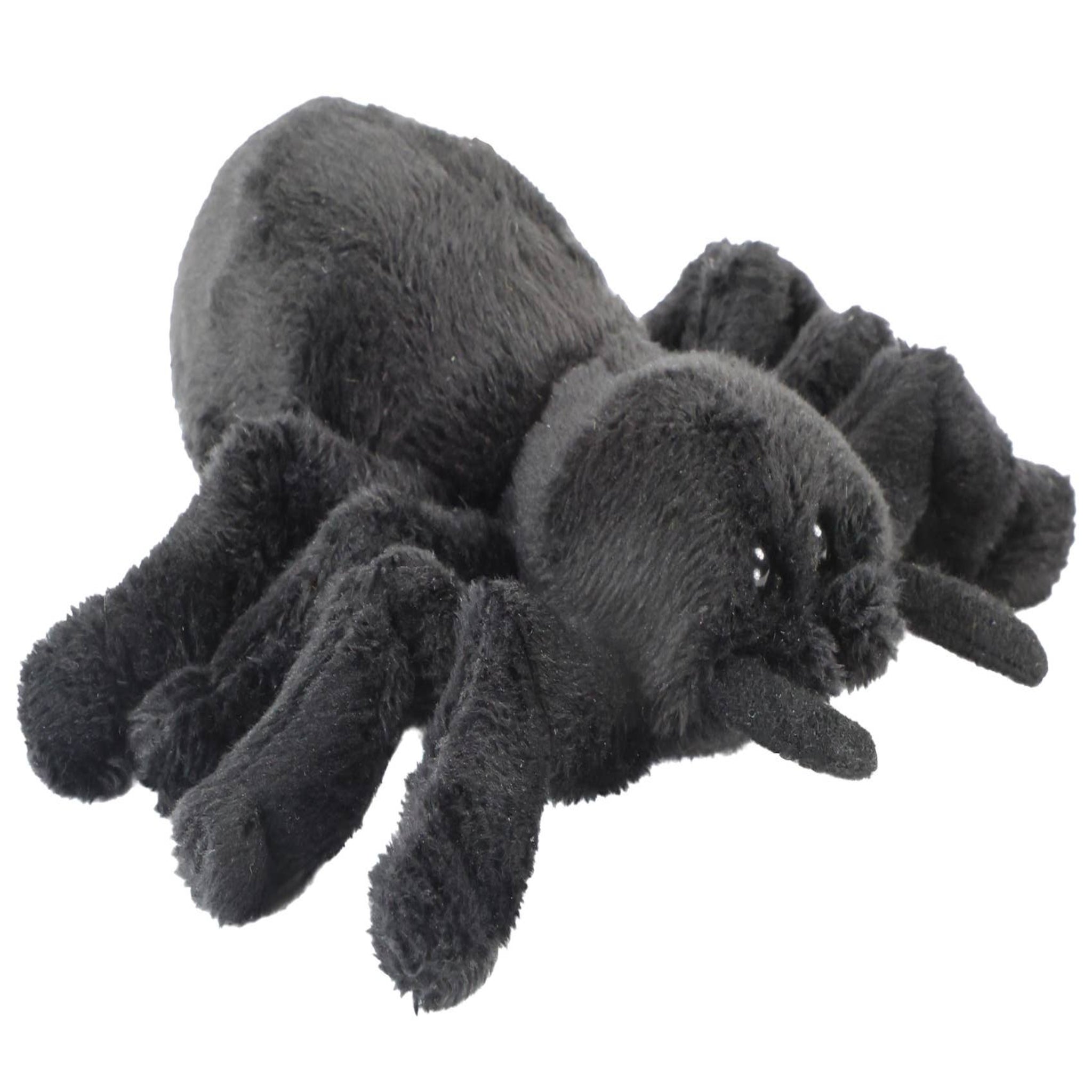 Plush toy spider on a white background