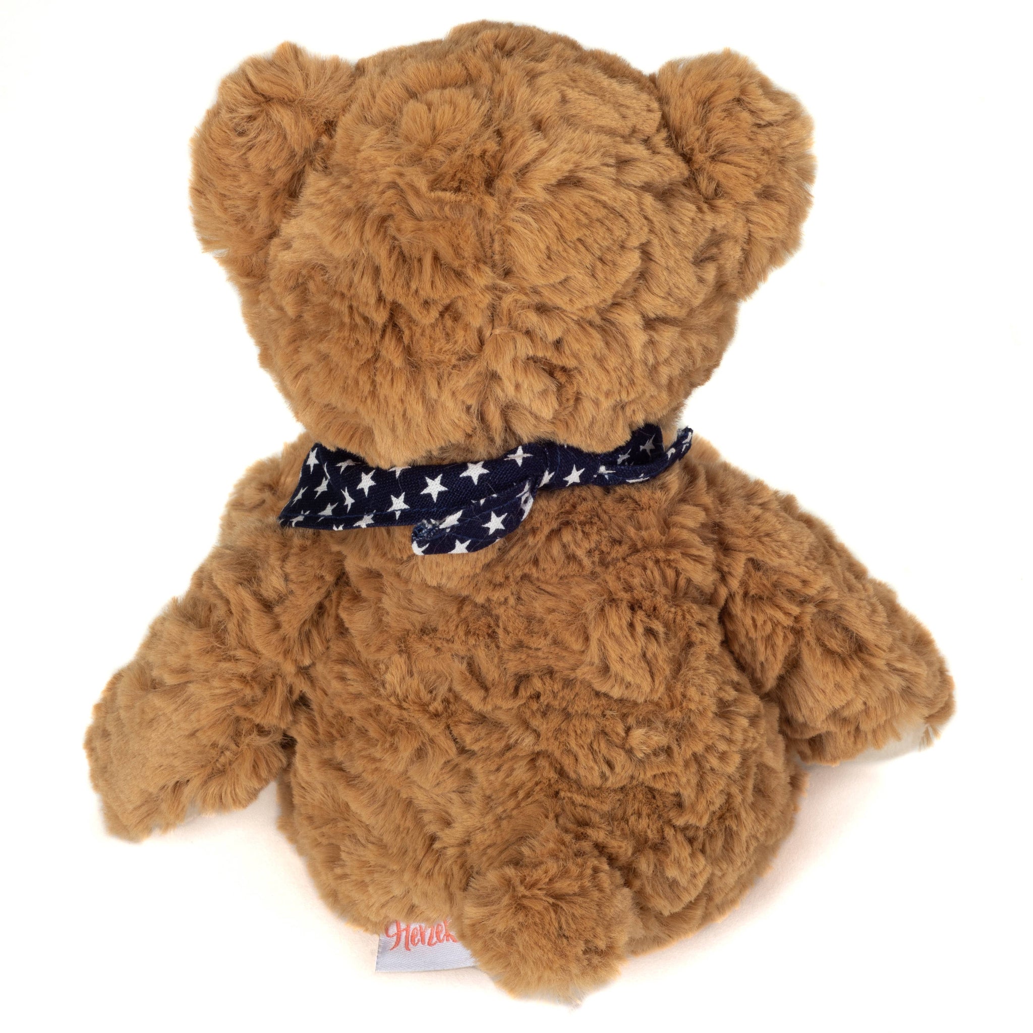 Brown teddy bear with a navy blue bow tie on a white background
