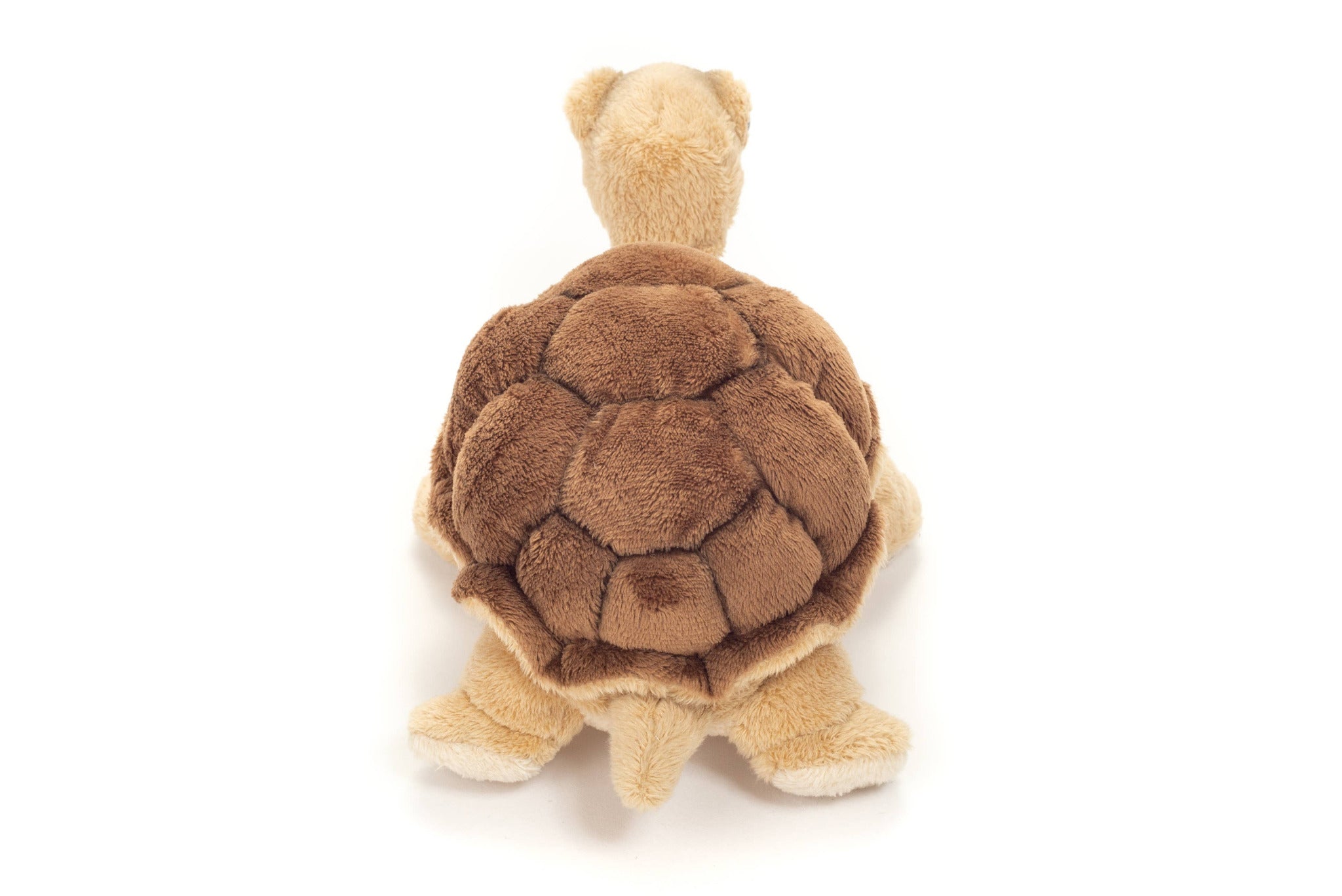 Plush turtle toy on a white background