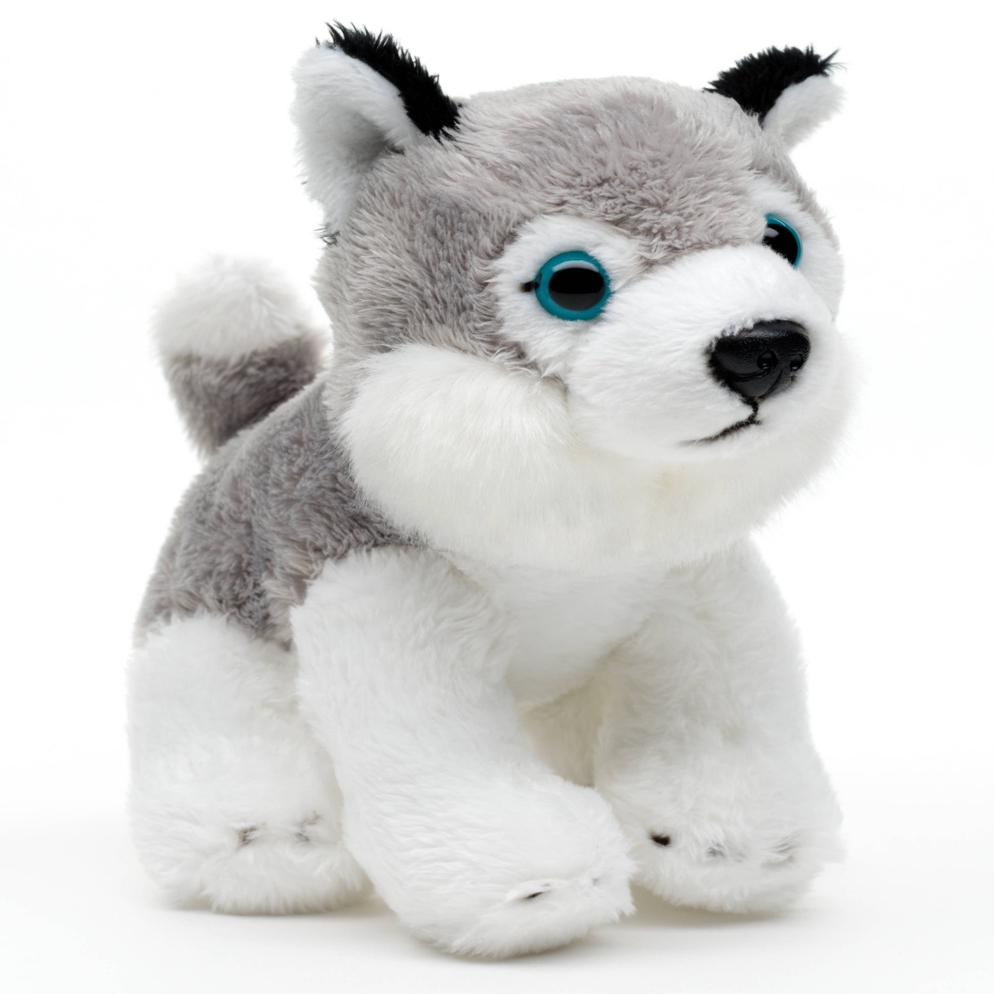 Plush toy husky on a white background