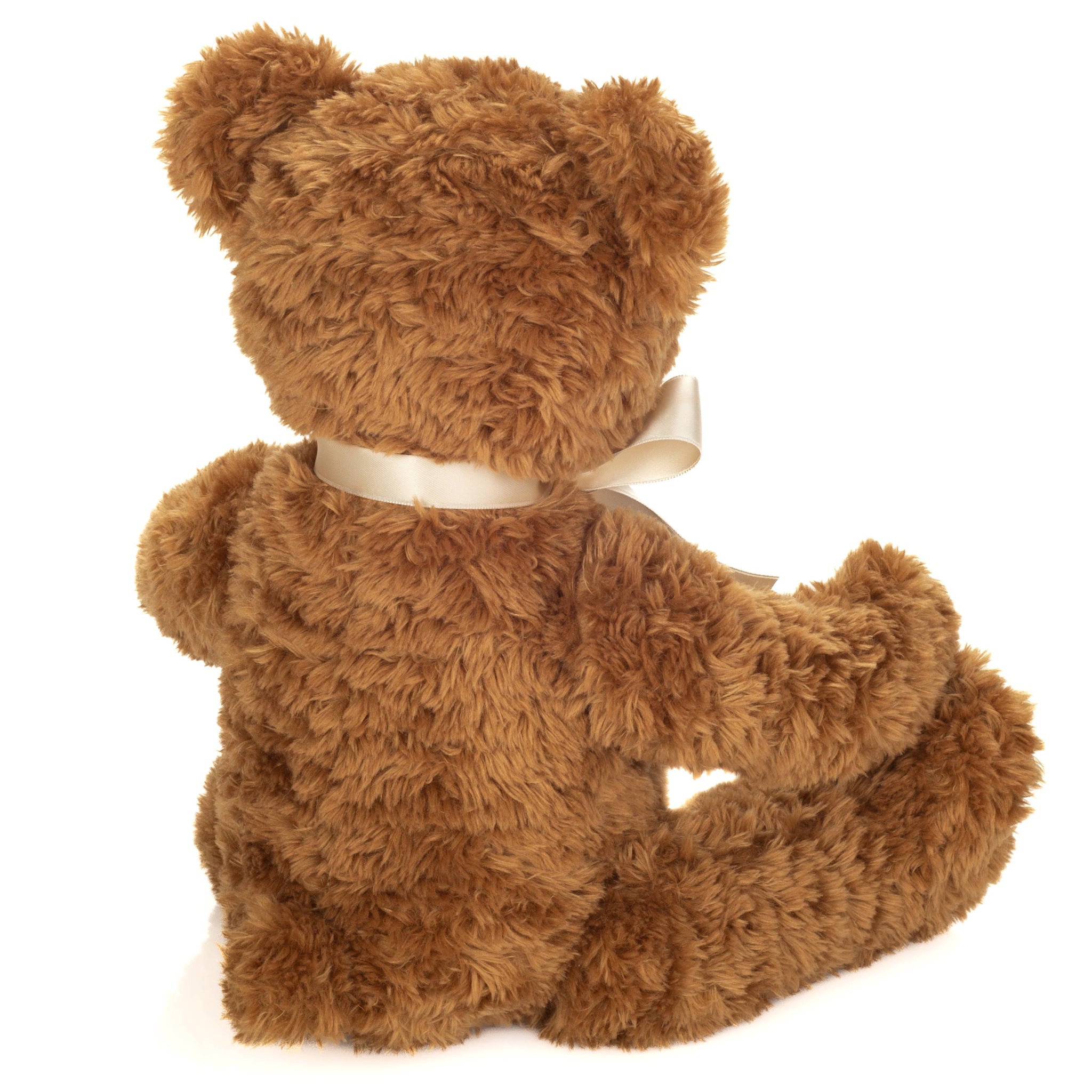 Brown teddy bear with a white ribbon on a white background