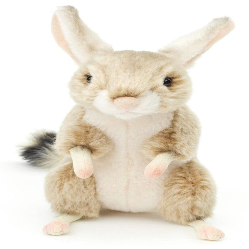 Plush toy rabbit with a white background
