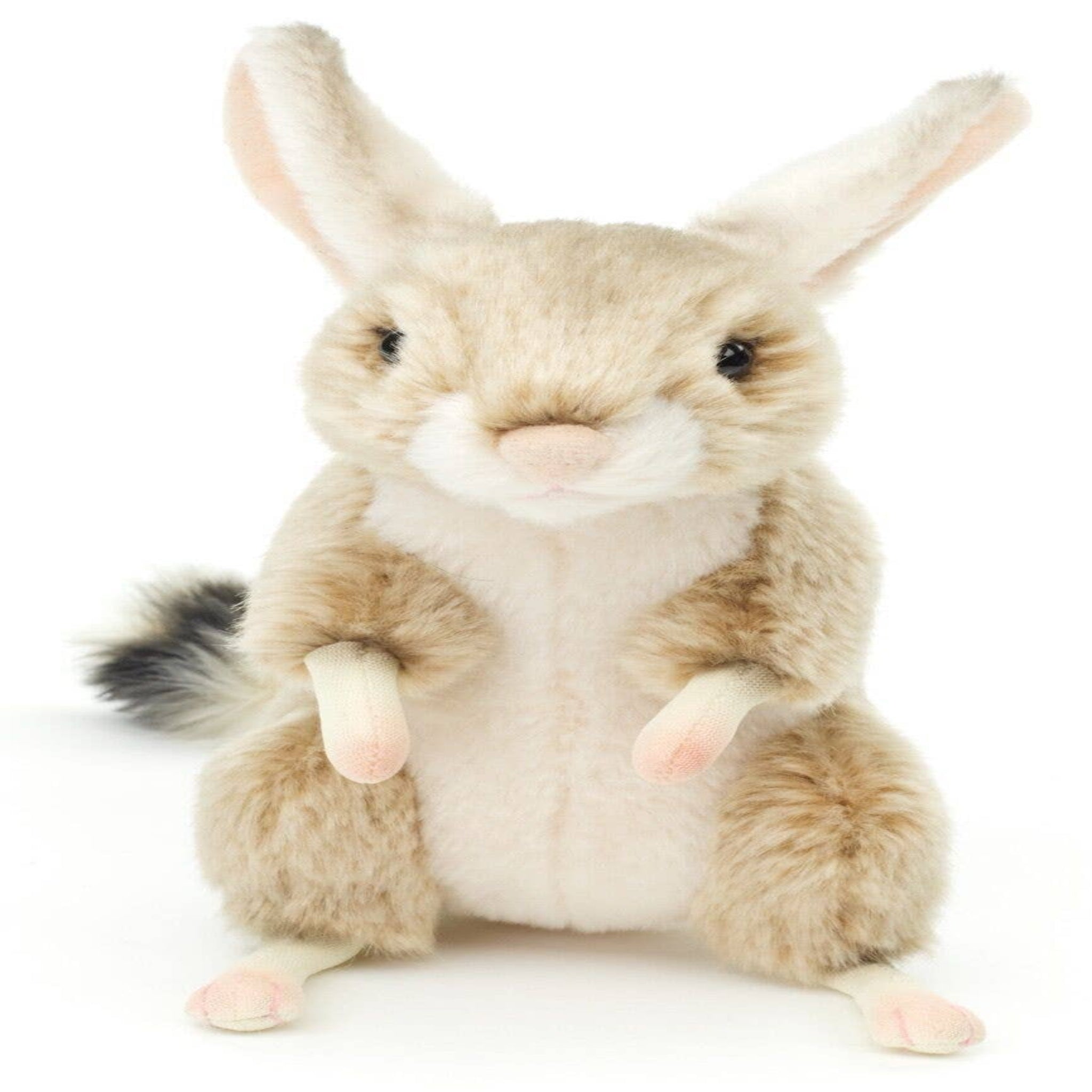 Plush toy rabbit with a white background