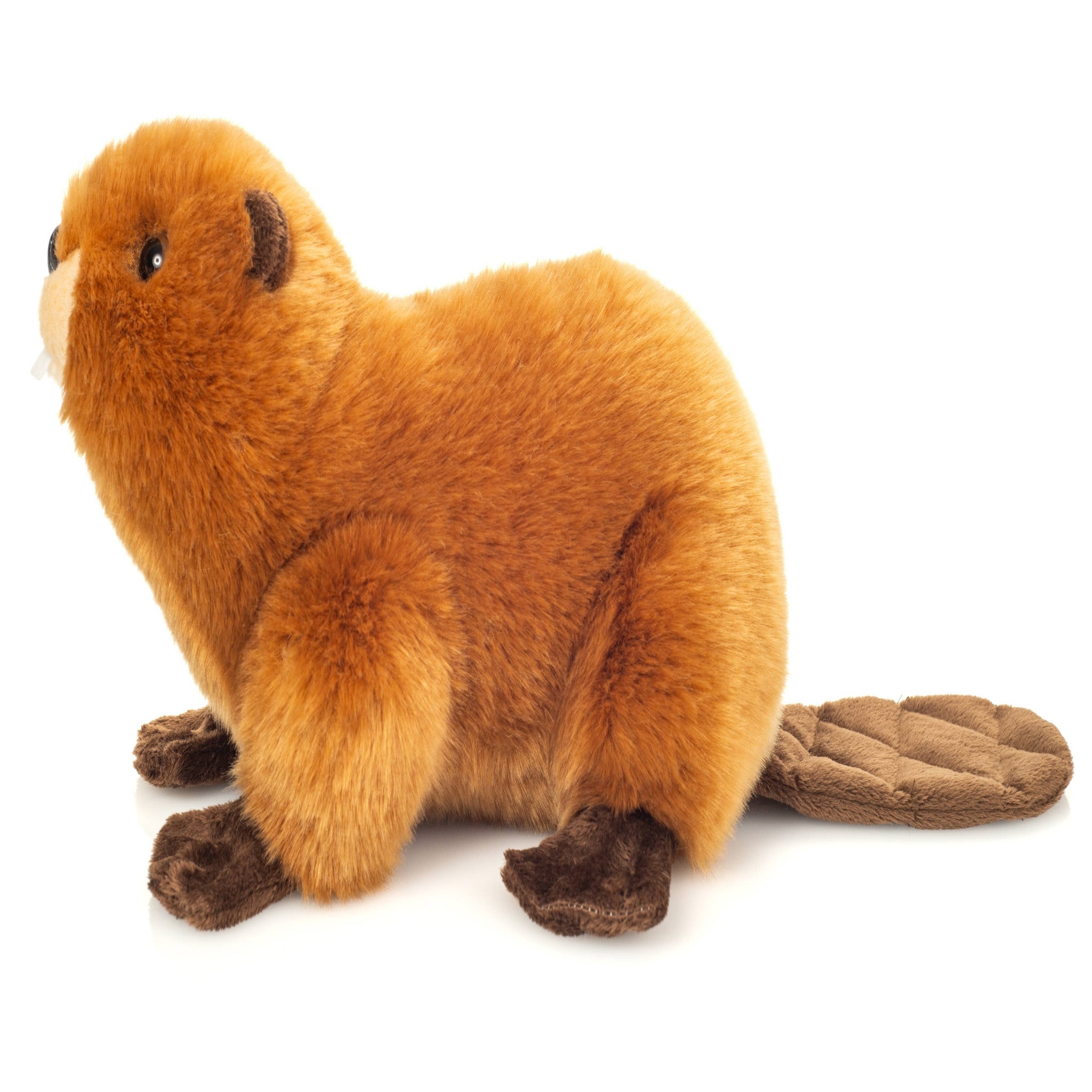 Plush toy beaver on a white background