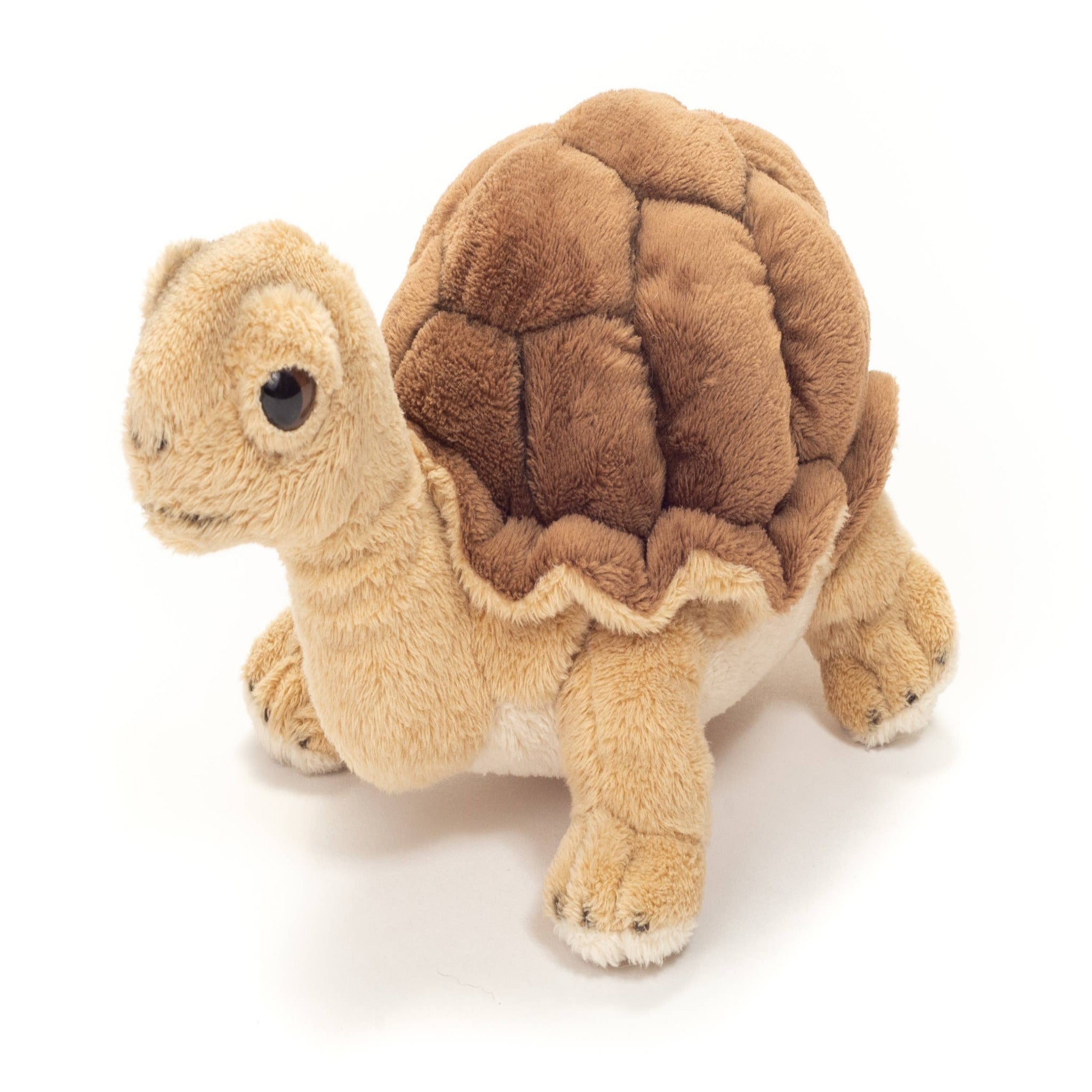 Plush turtle toy on a white background