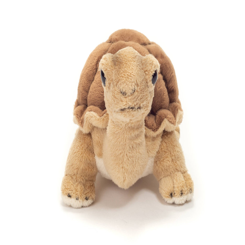 Plush turtle toy on a white background