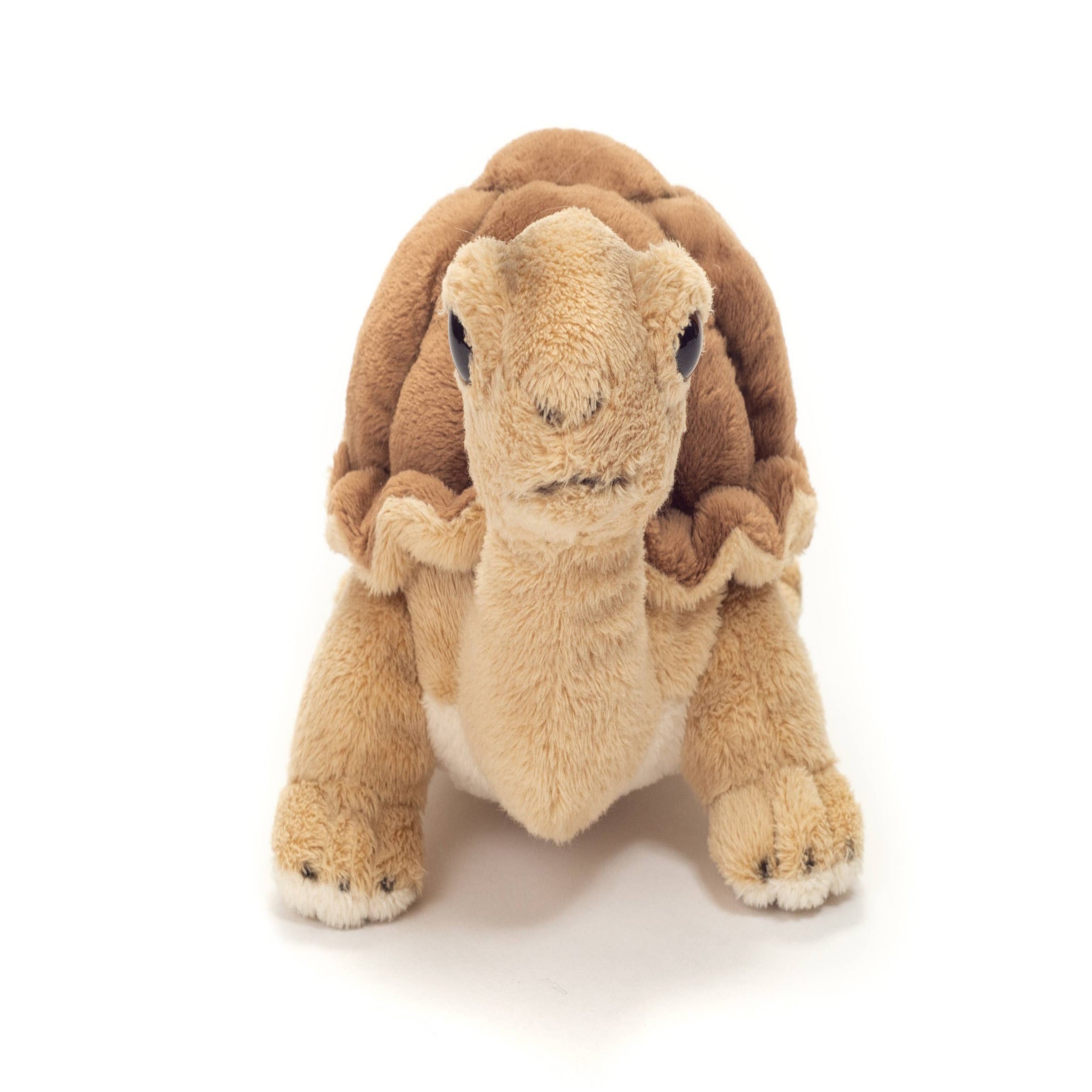 Plush turtle toy on a white background