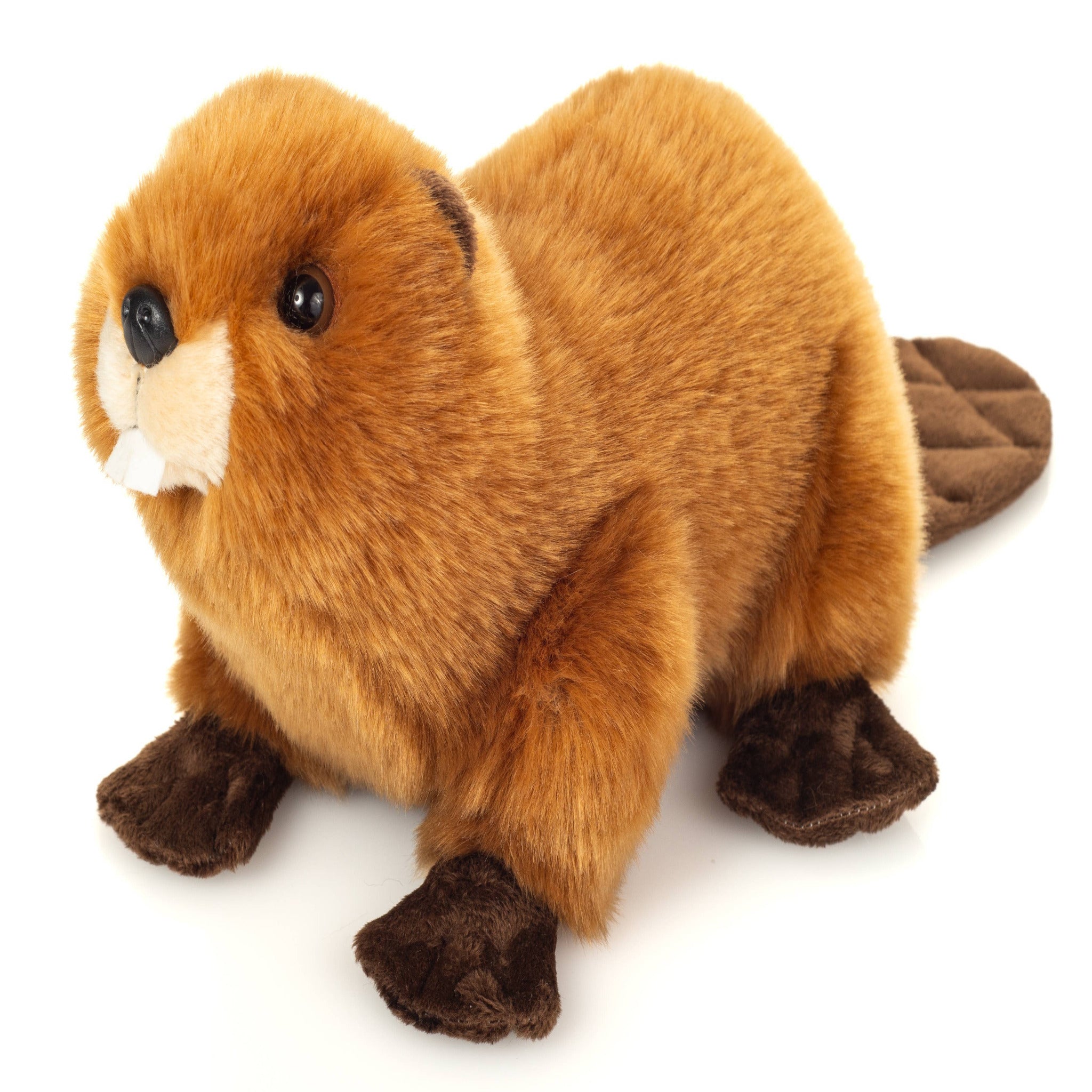 Plush toy beaver on a white background