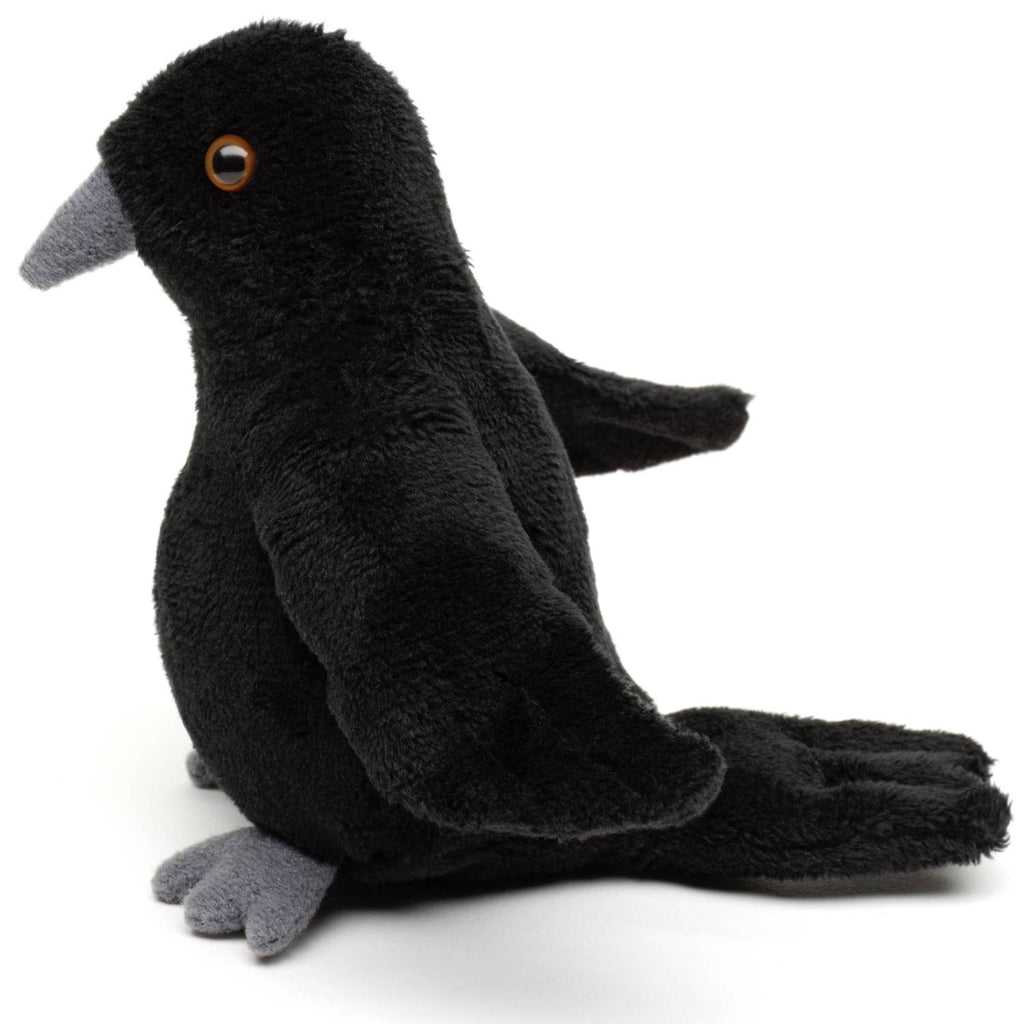 Black plush pigeon toy on a white background