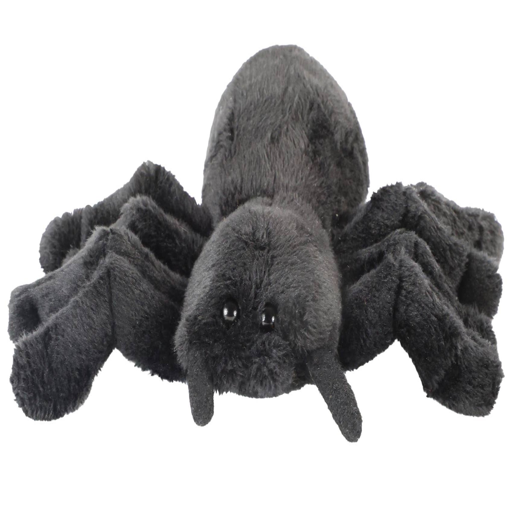 Plush toy spider on a white background