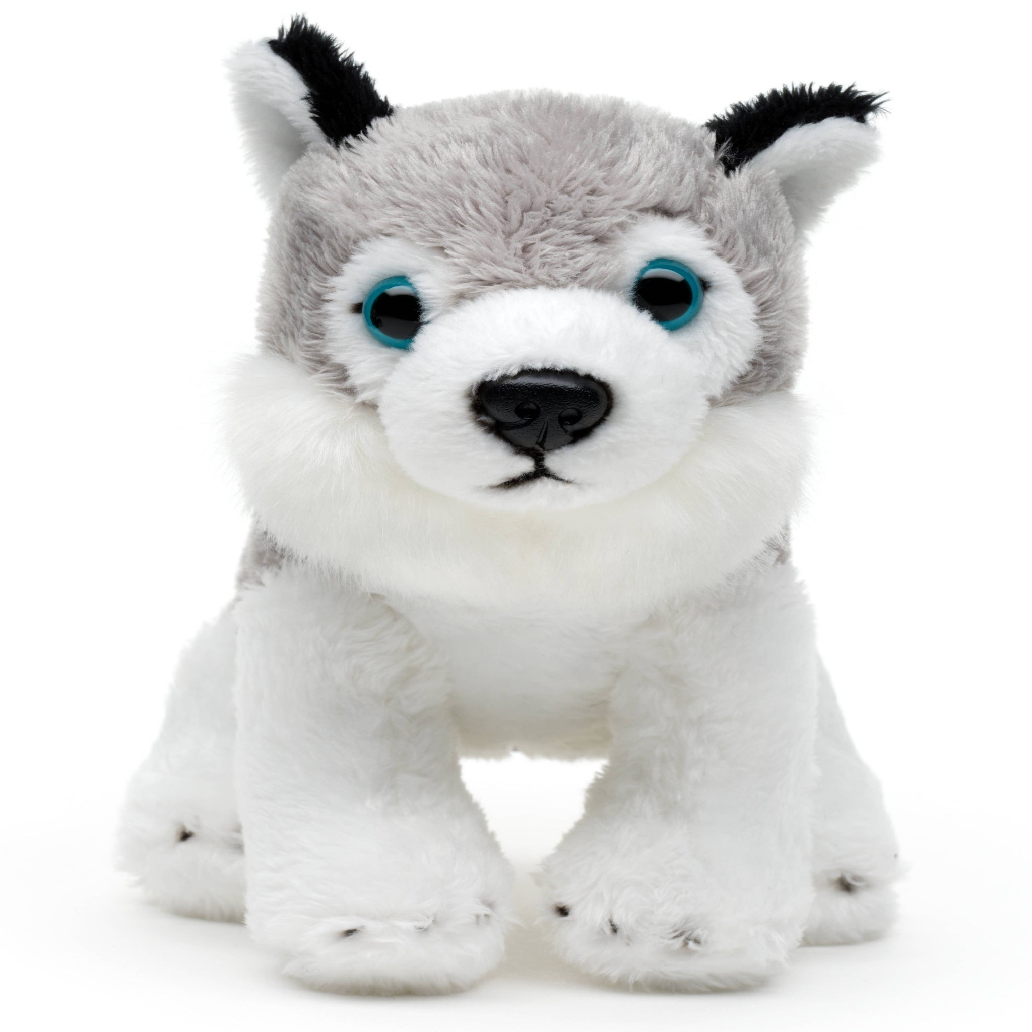 Plush toy husky on a white background