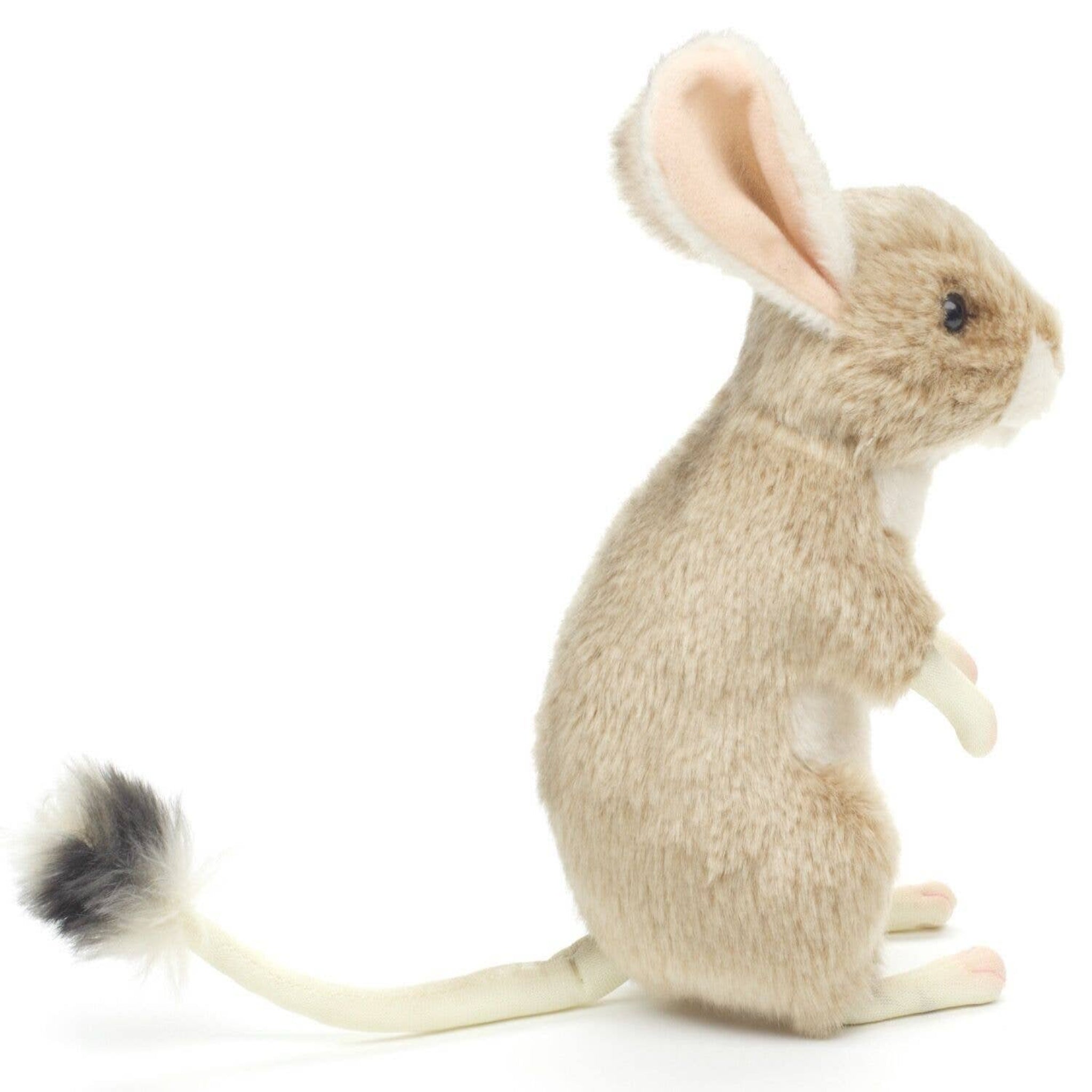 Plush toy mouse on a white background