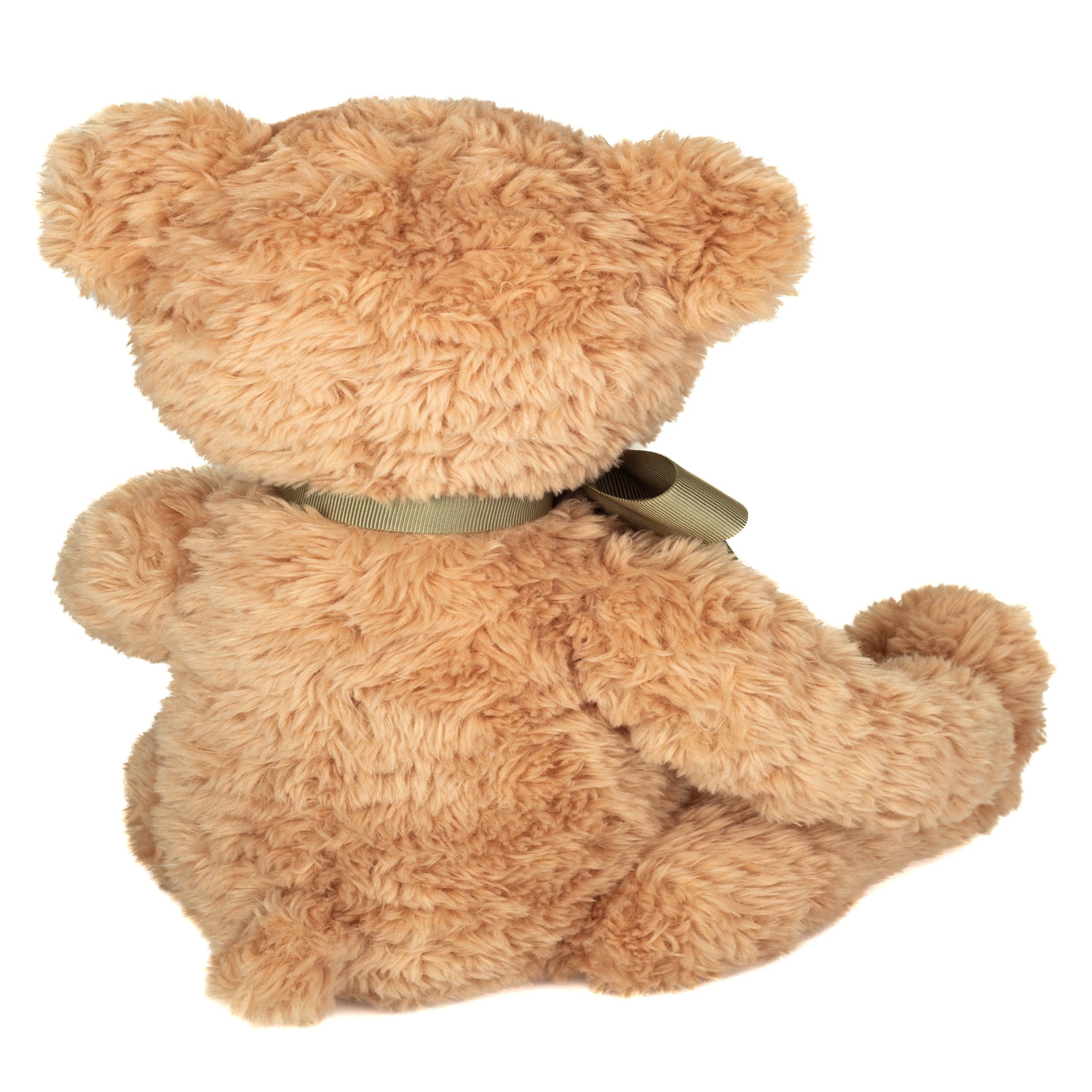 Brown teddy bear with a green ribbon on a white background