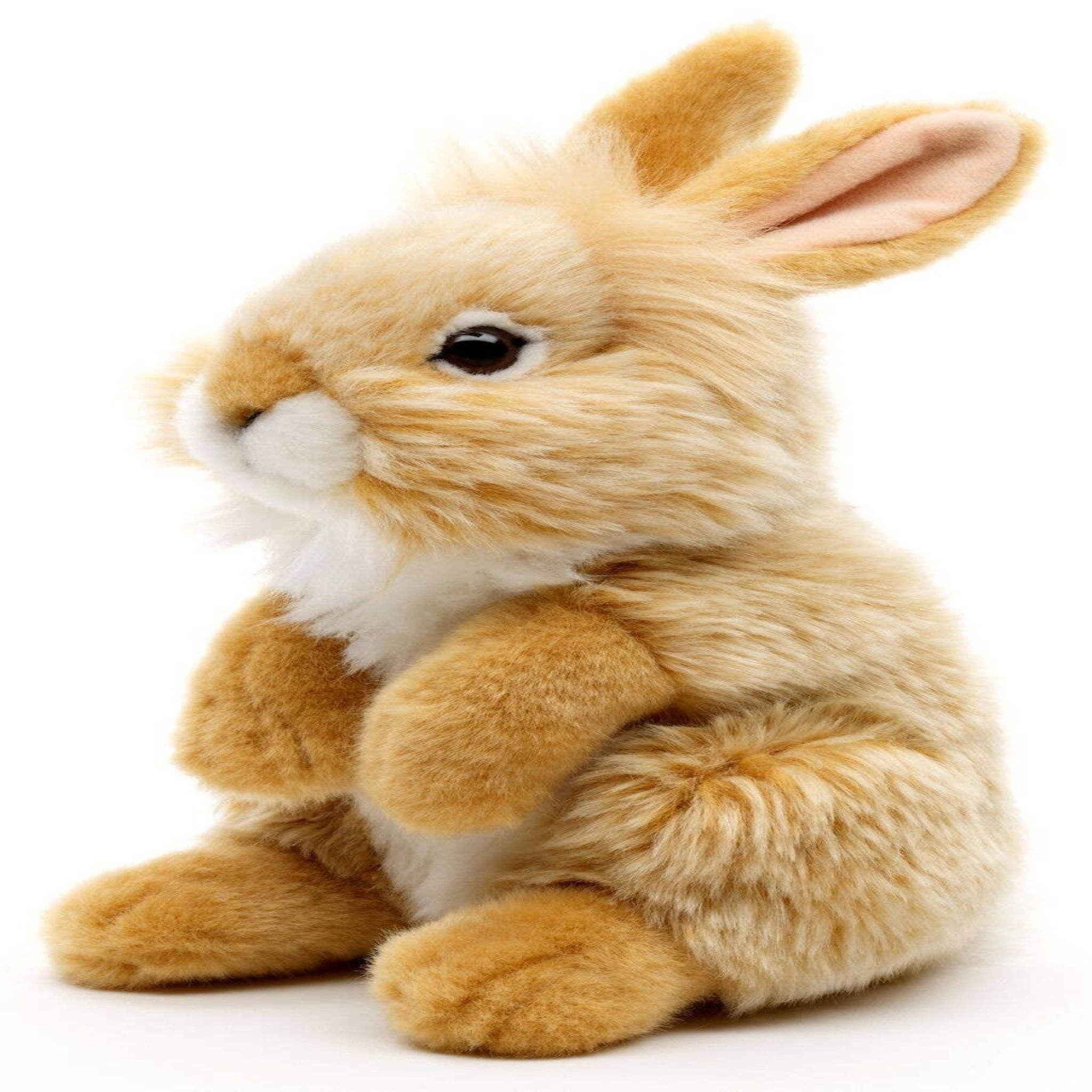 Plush rabbit toy on a white background